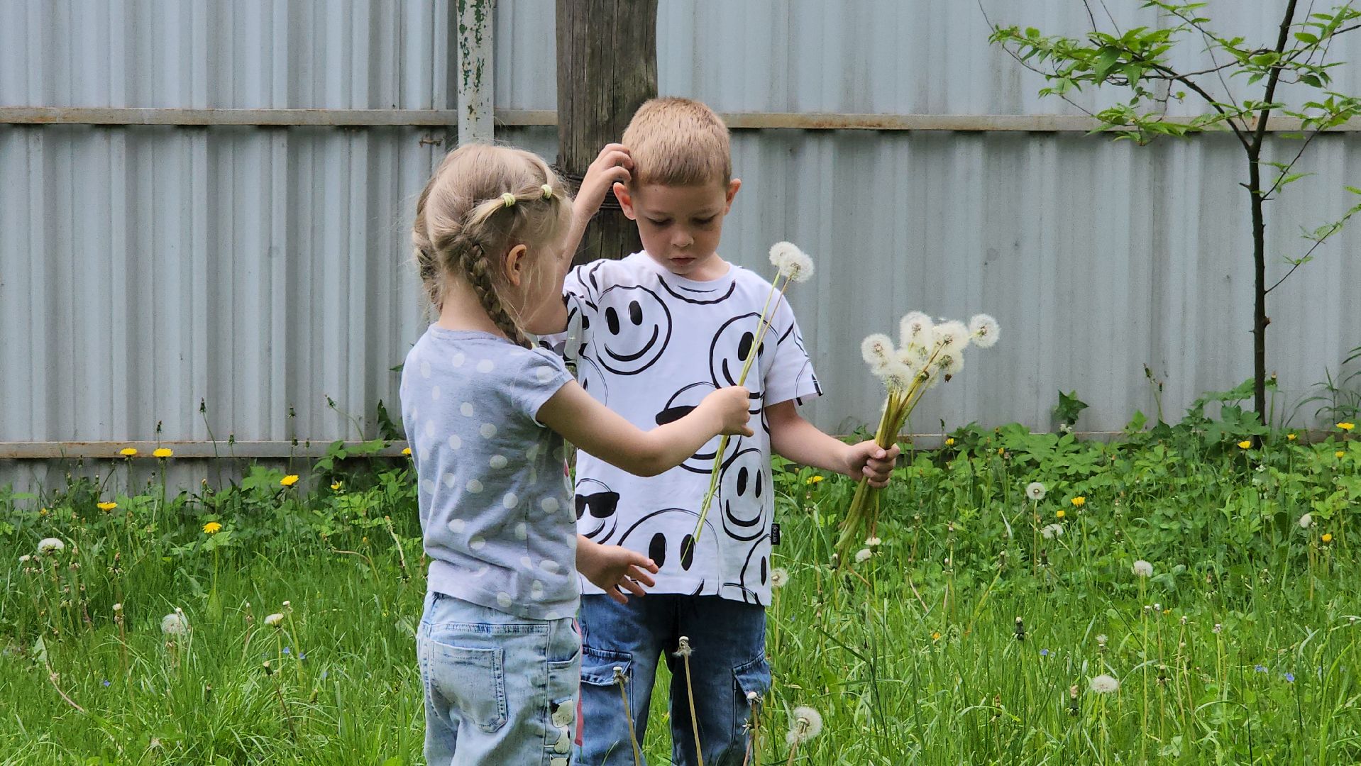 серпухов, дети-инвалиды, дети с овз, летний заезд , социально-реабилитационный центр Серпуховский, улица лермонтова,