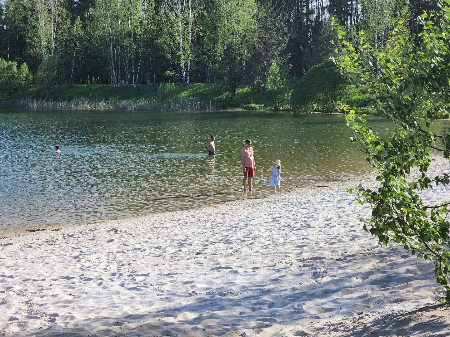 Черноголовка, Места для отдыха, туризм в подмосковье,