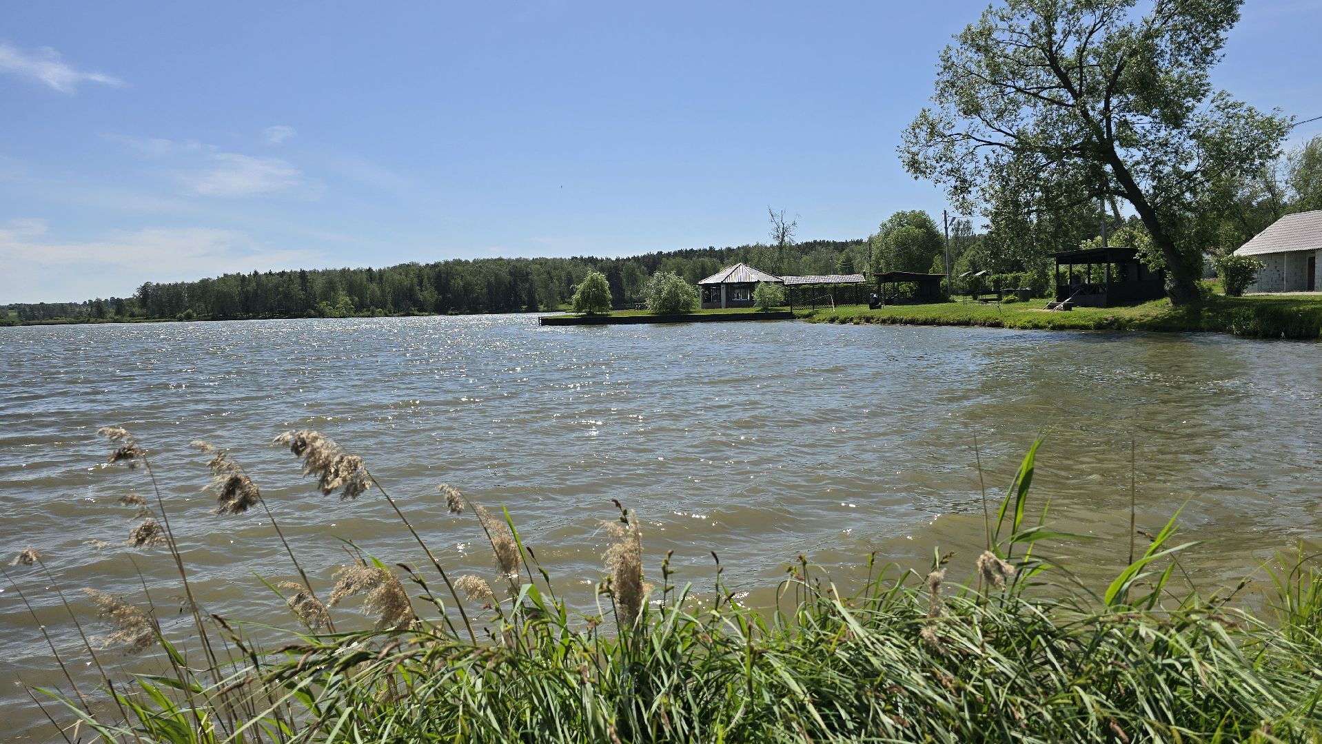 Коломна, рыбхоз, рыбалка, зона отдыха,