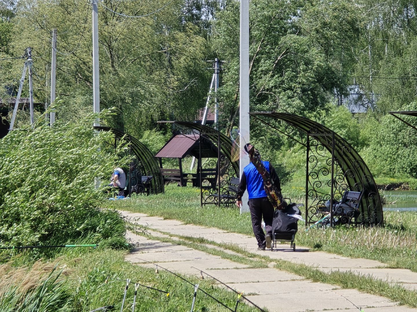 Коломна, рыбхоз, рыбалка, зона отдыха,