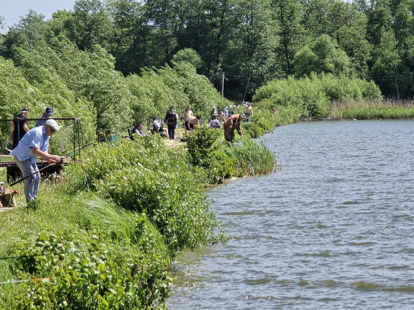 Коломна, рыбхоз, рыбалка, зона отдыха,