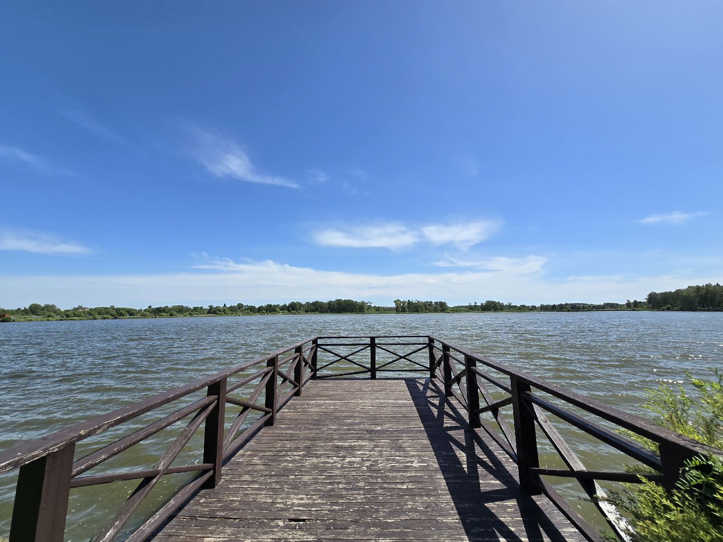 Коломна, рыбхоз, рыбалка, зона отдыха,