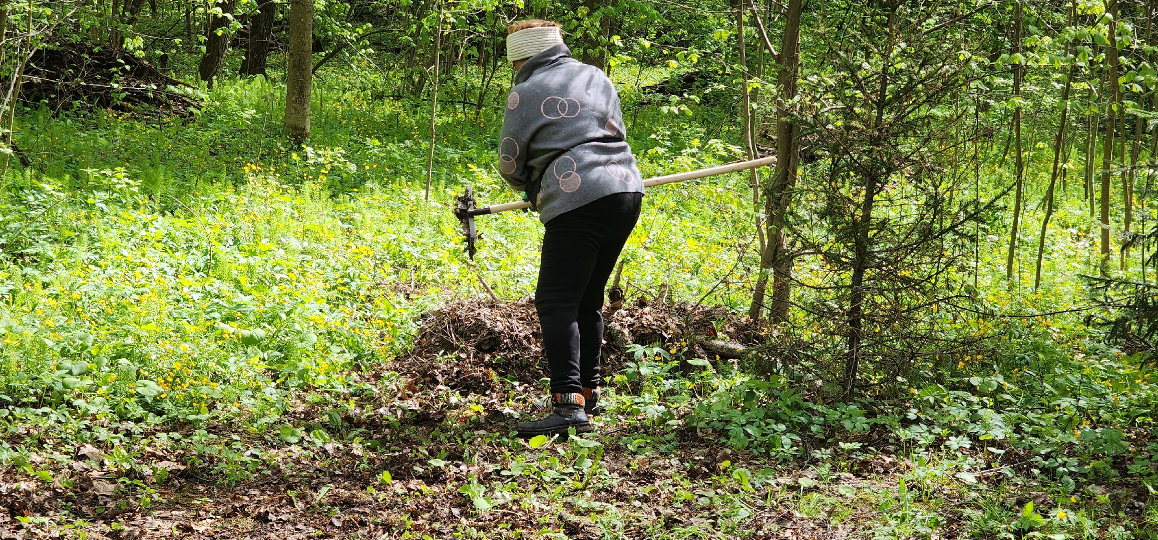 Экология , Обоаботка от борщевика, Звенигород,