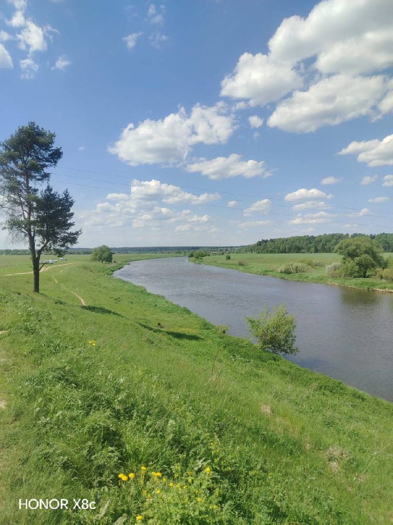 Экология , Обоаботка от борщевика, Звенигород,