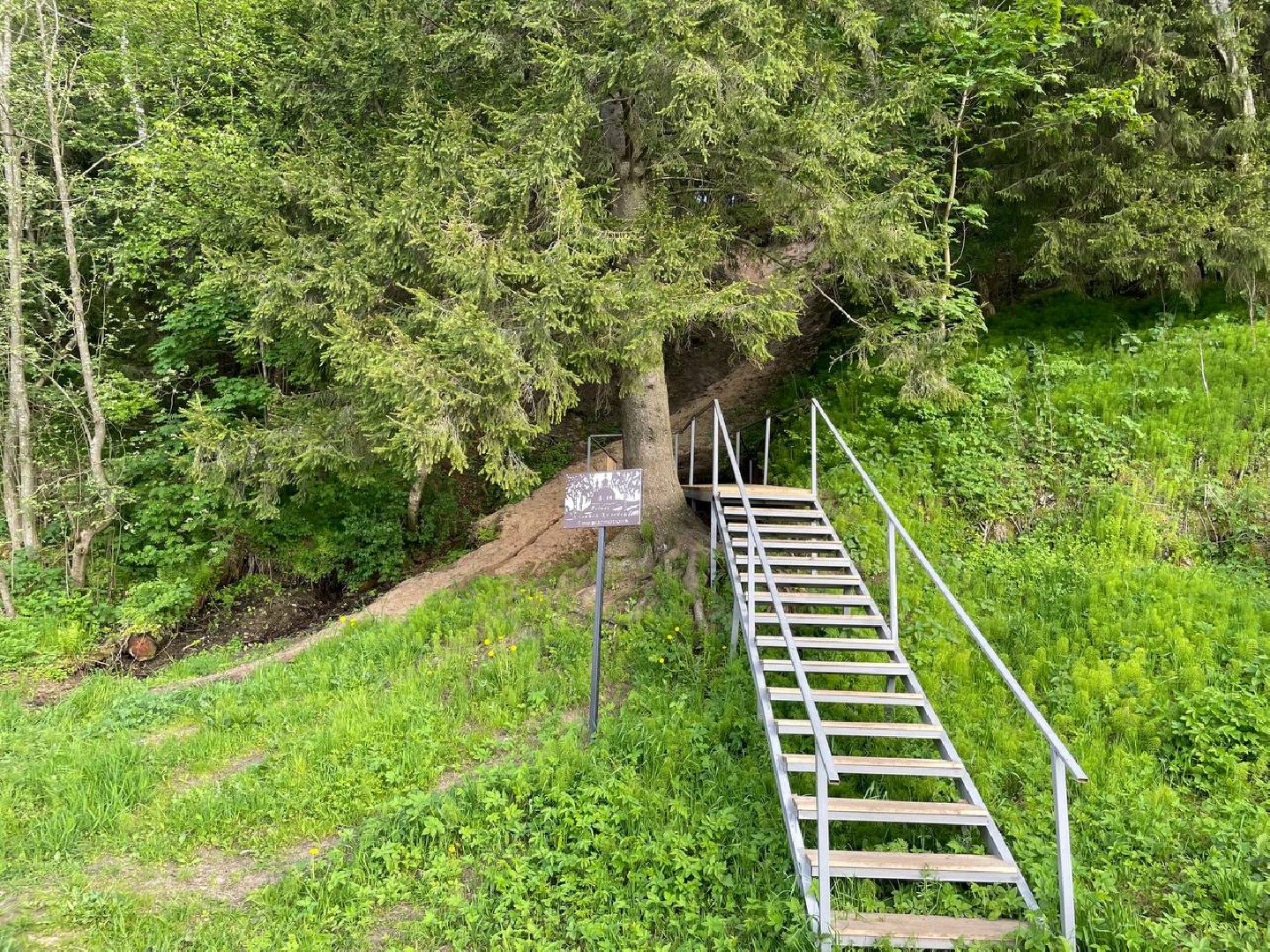 Экология , Обоаботка от борщевика, Звенигород,