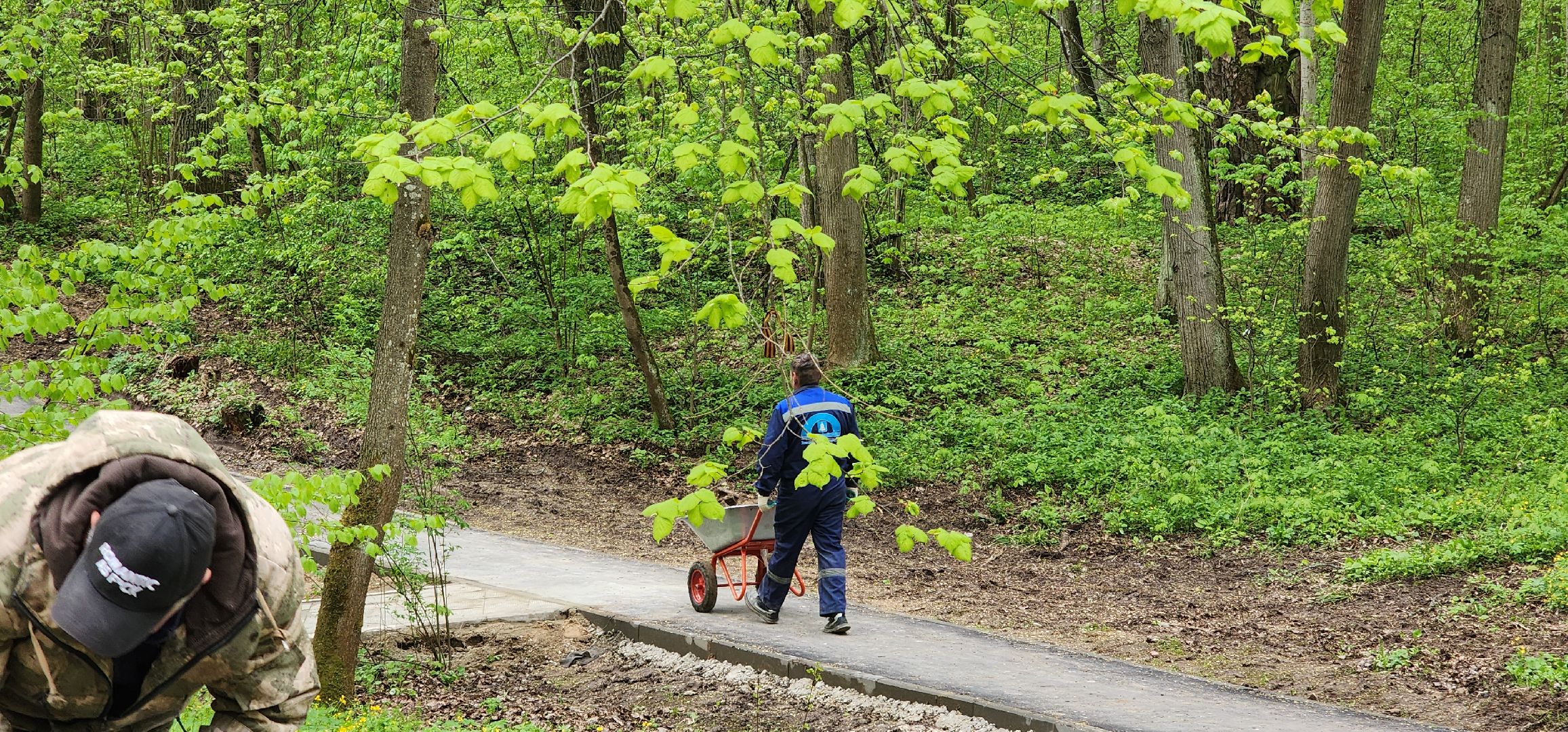 Экология , Обоаботка от борщевика, Звенигород,