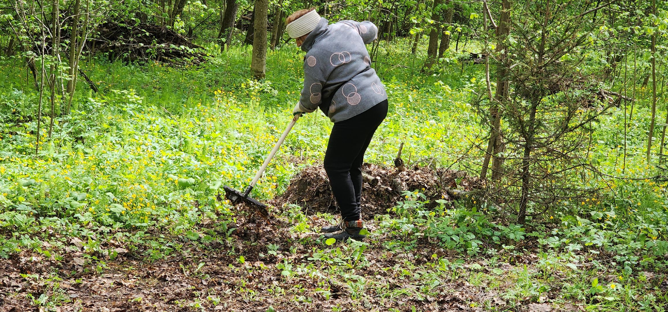 Экология , Обоаботка от борщевика, Звенигород,
