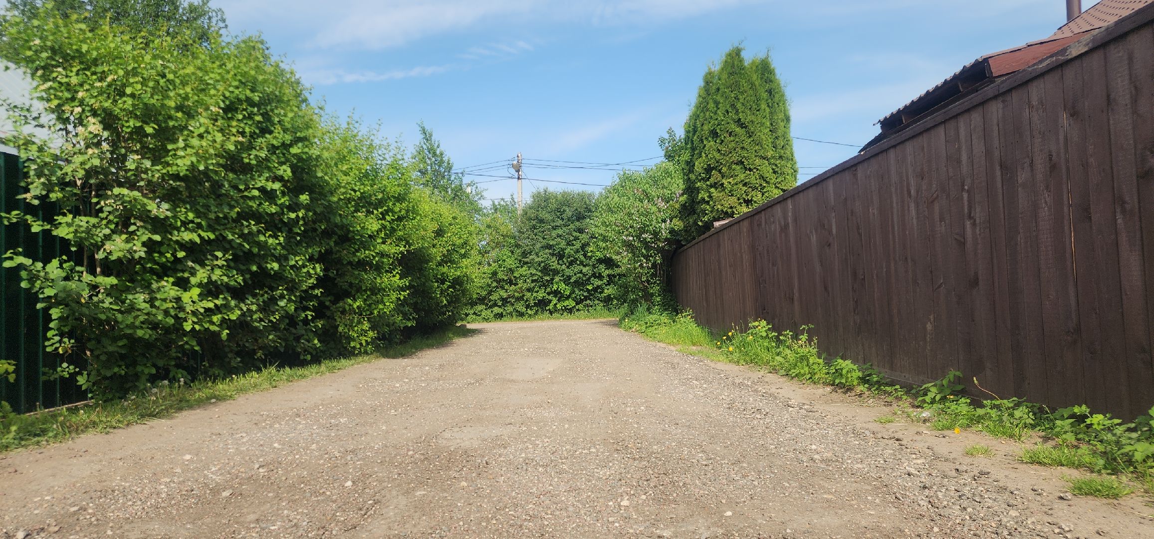 Экология , Обоаботка от борщевика, Звенигород,