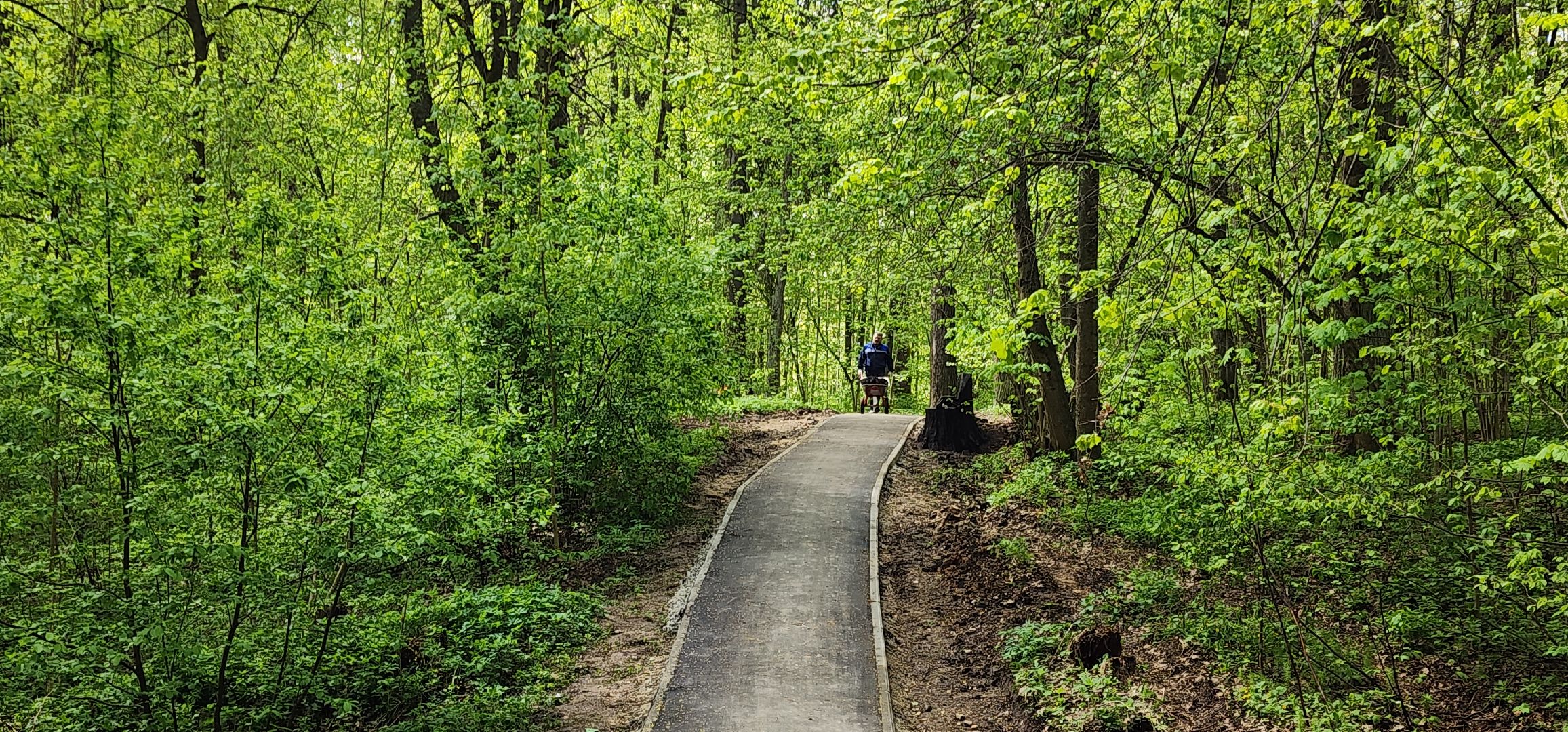 Экология , Обоаботка от борщевика, Звенигород,