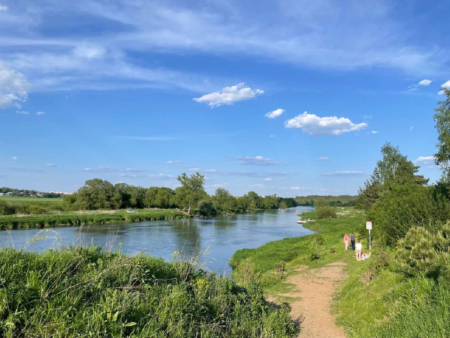 Экология , Обоаботка от борщевика, Звенигород,