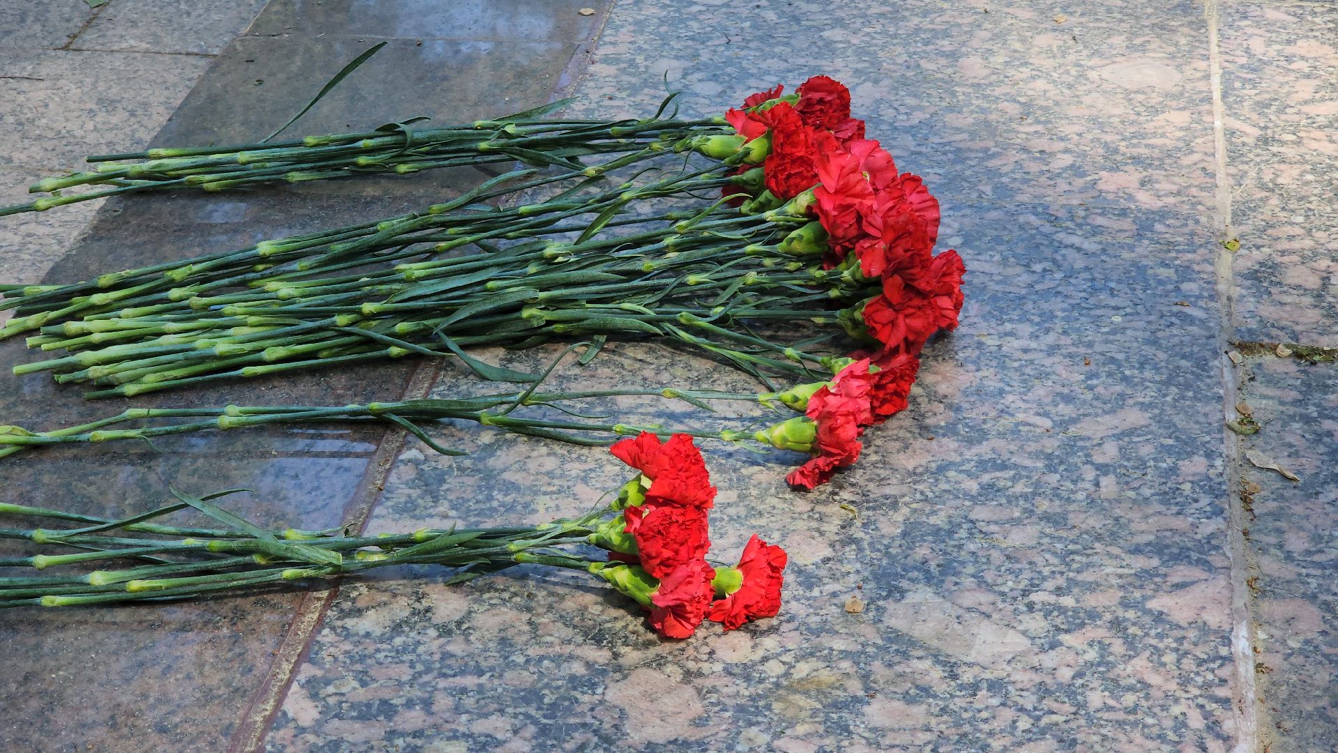 красногорск, день пограничника, мемориал,