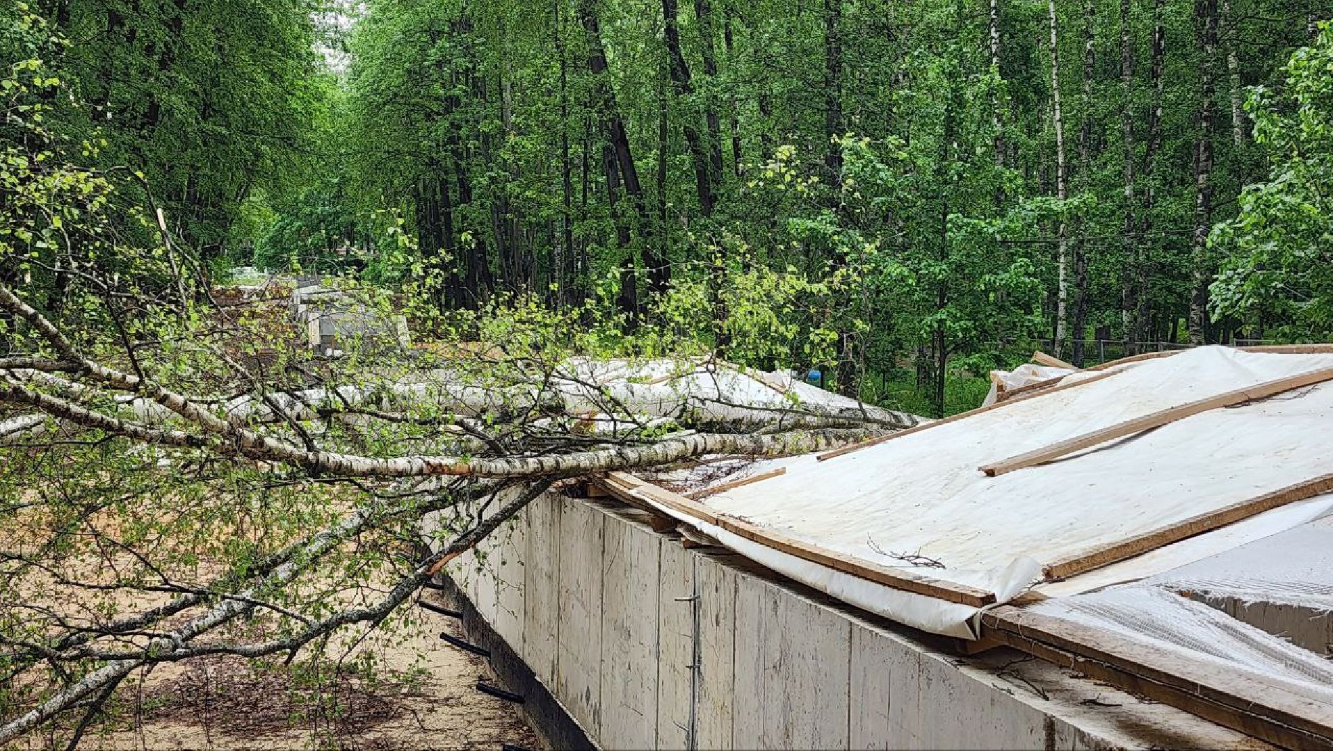 Дмитров, Парк Березовая роща, Реконструкция фонтана, Минблаго,
