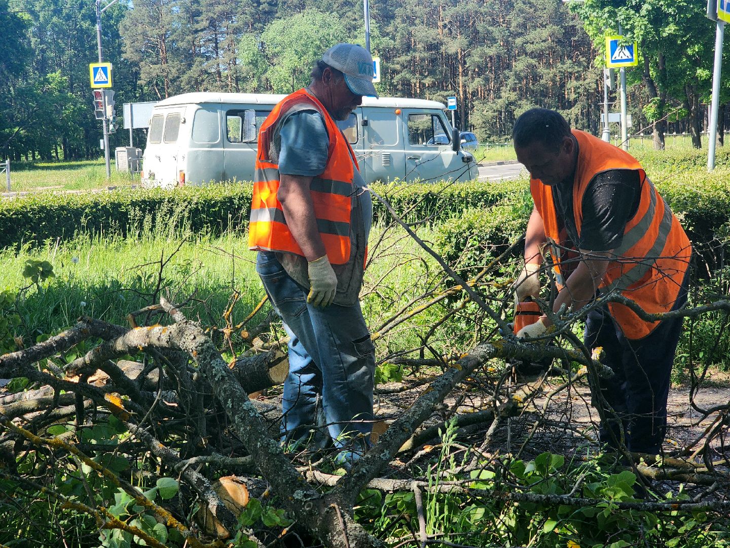 пущино, серпухов, благоустройство,