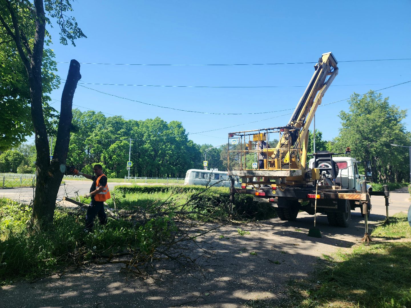 пущино, серпухов, благоустройство,