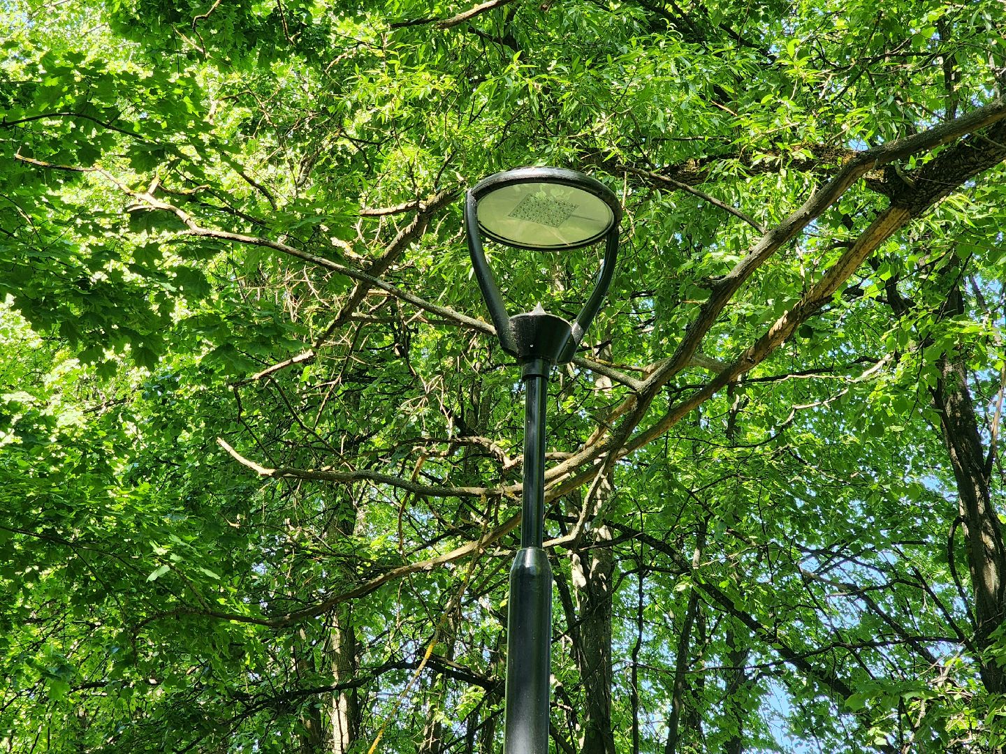 пущино, серпухов, благоустройство,