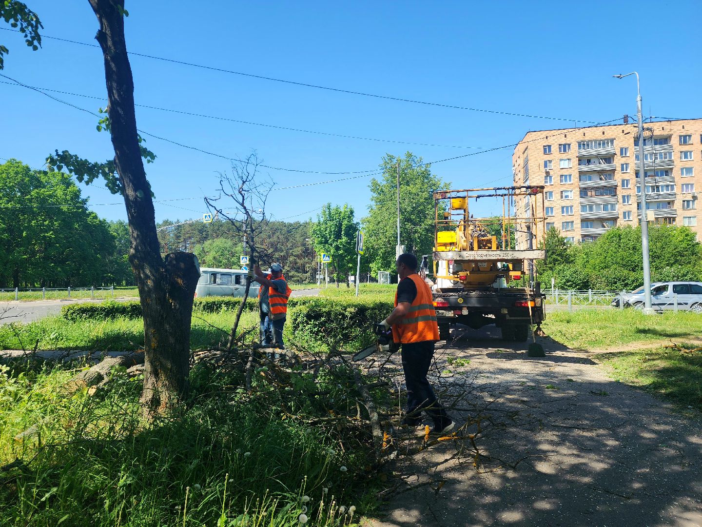 пущино, серпухов, благоустройство,