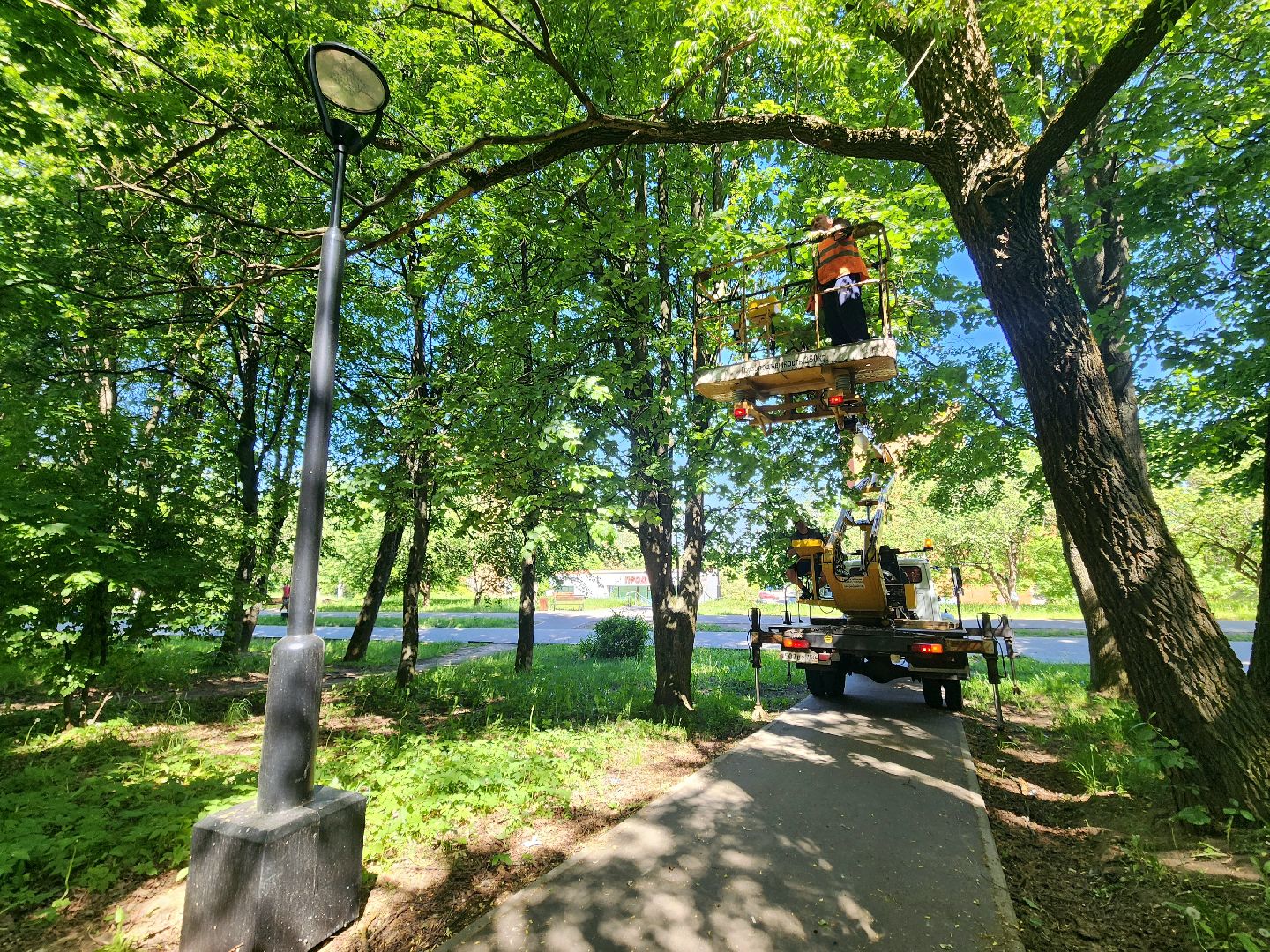 пущино, серпухов, благоустройство,