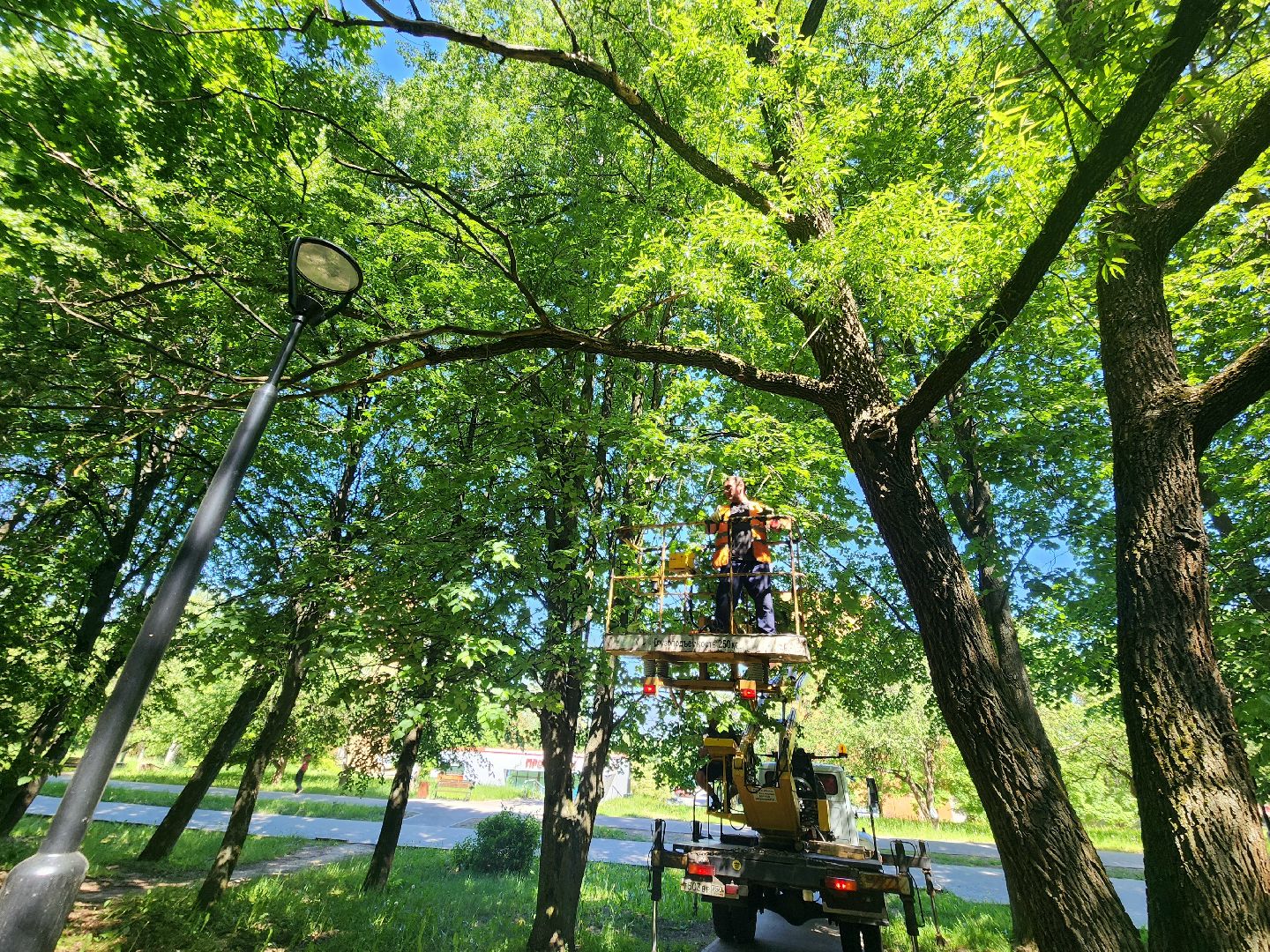 пущино, серпухов, благоустройство,