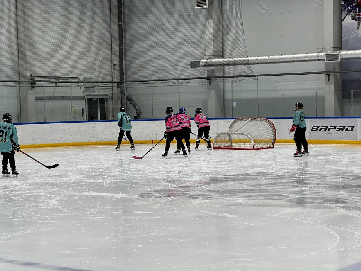 хоккей, домодедово, турнир,