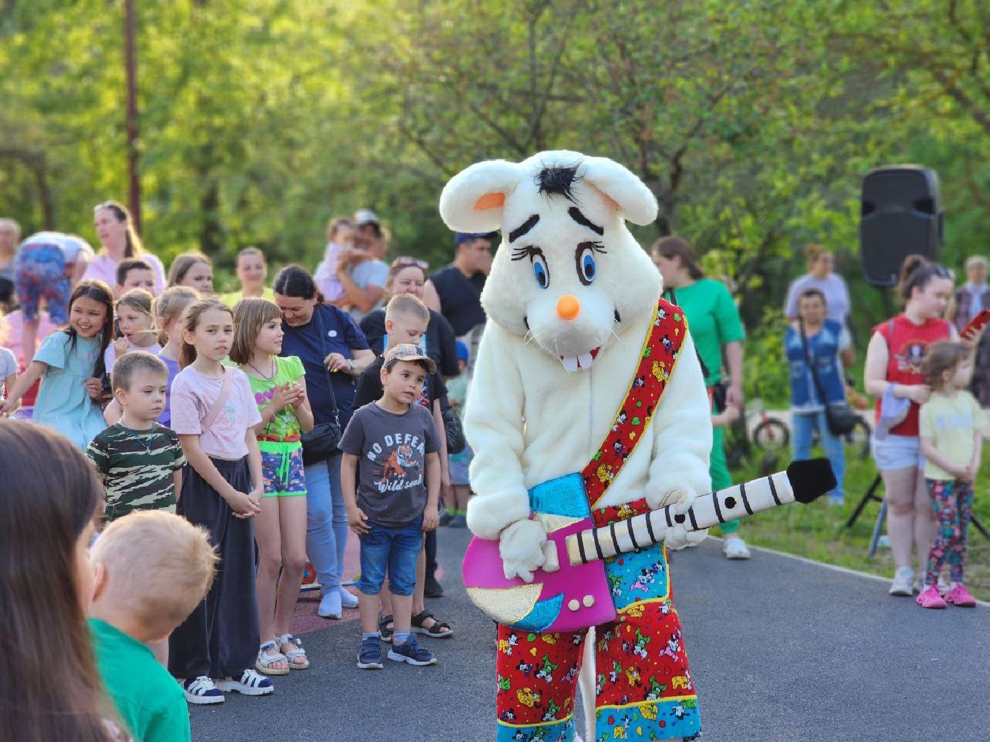 воскресенск, день соседей, лопатинский, праздник, общество,