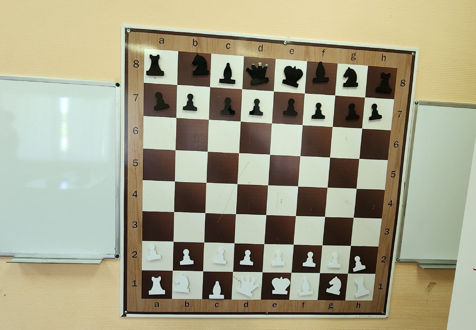 Химки, Шахматы, активное долголетие,