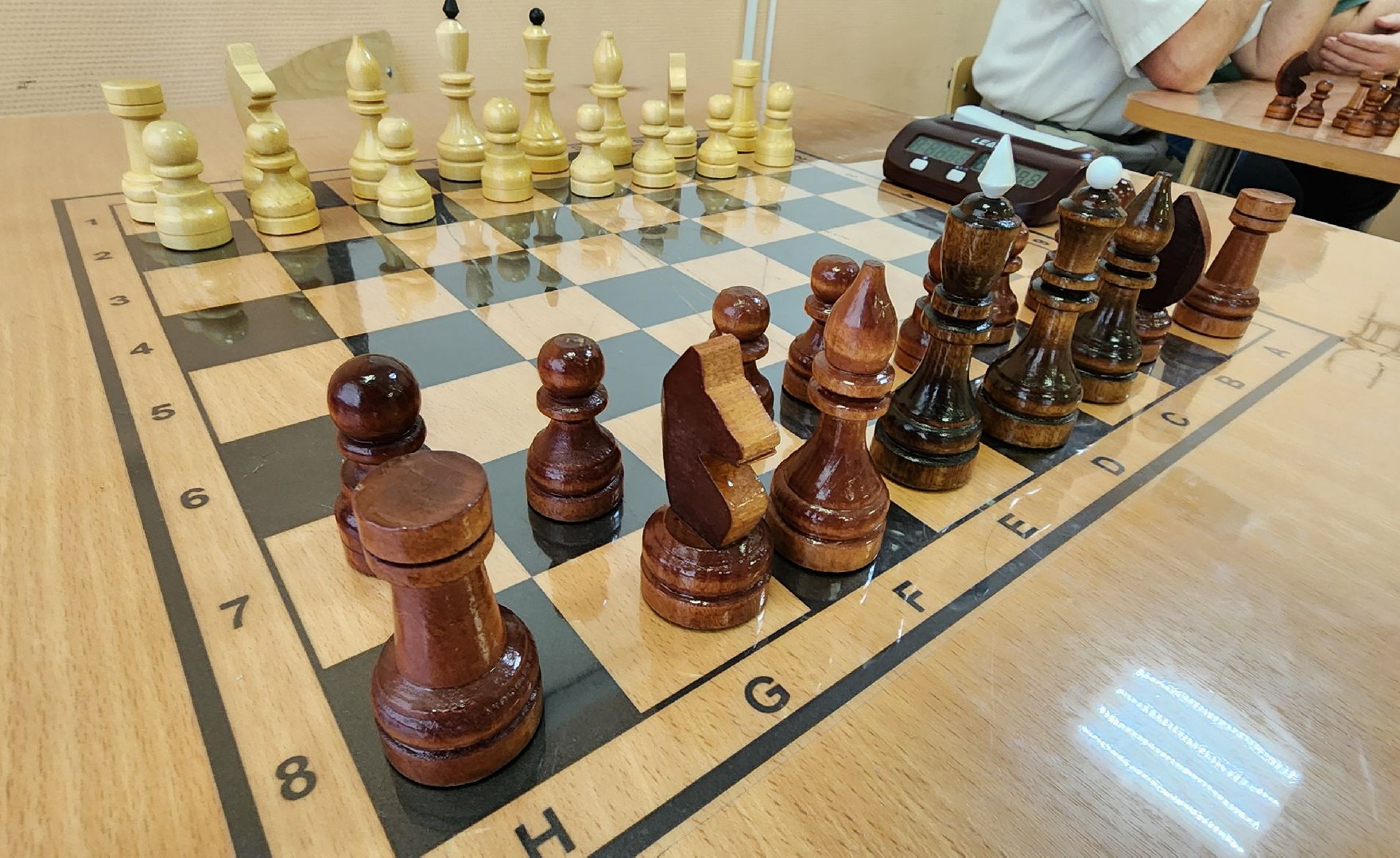 Химки, Шахматы, активное долголетие,