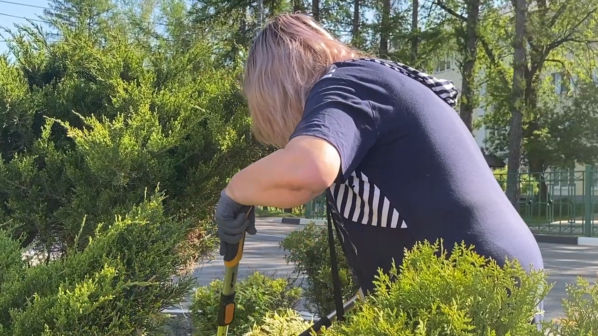 городская клумба, благоустройство власиха, уход за растениями, обрезка кустарника, власиха благоустройство территории,