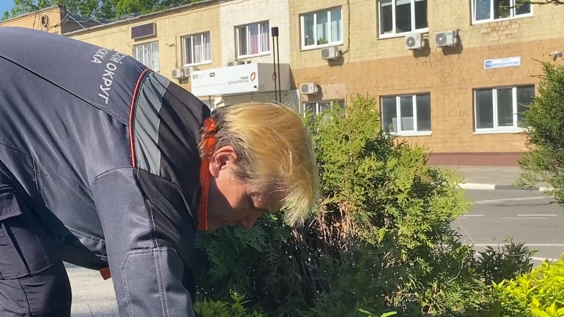 городская клумба, благоустройство власиха, уход за растениями, обрезка кустарника, власиха благоустройство территории,