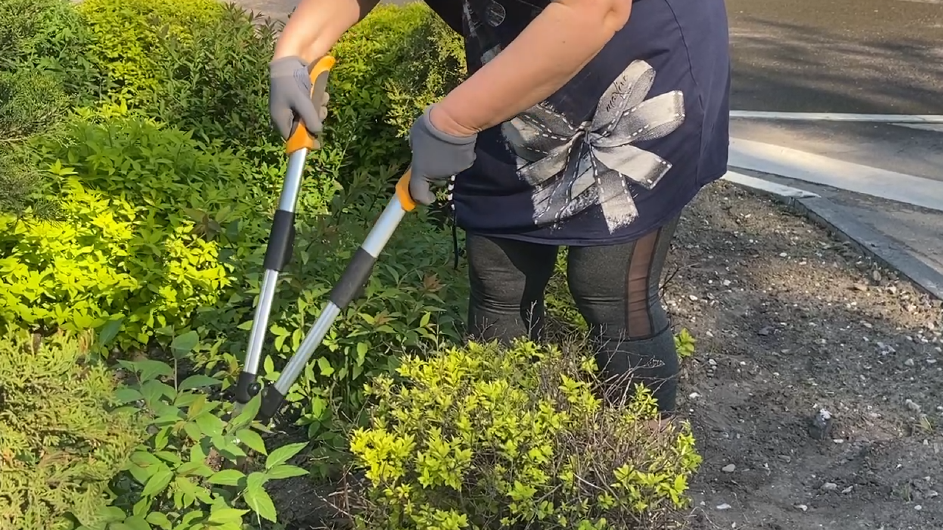 городская клумба, благоустройство власиха, уход за растениями, обрезка кустарника, власиха благоустройство территории,