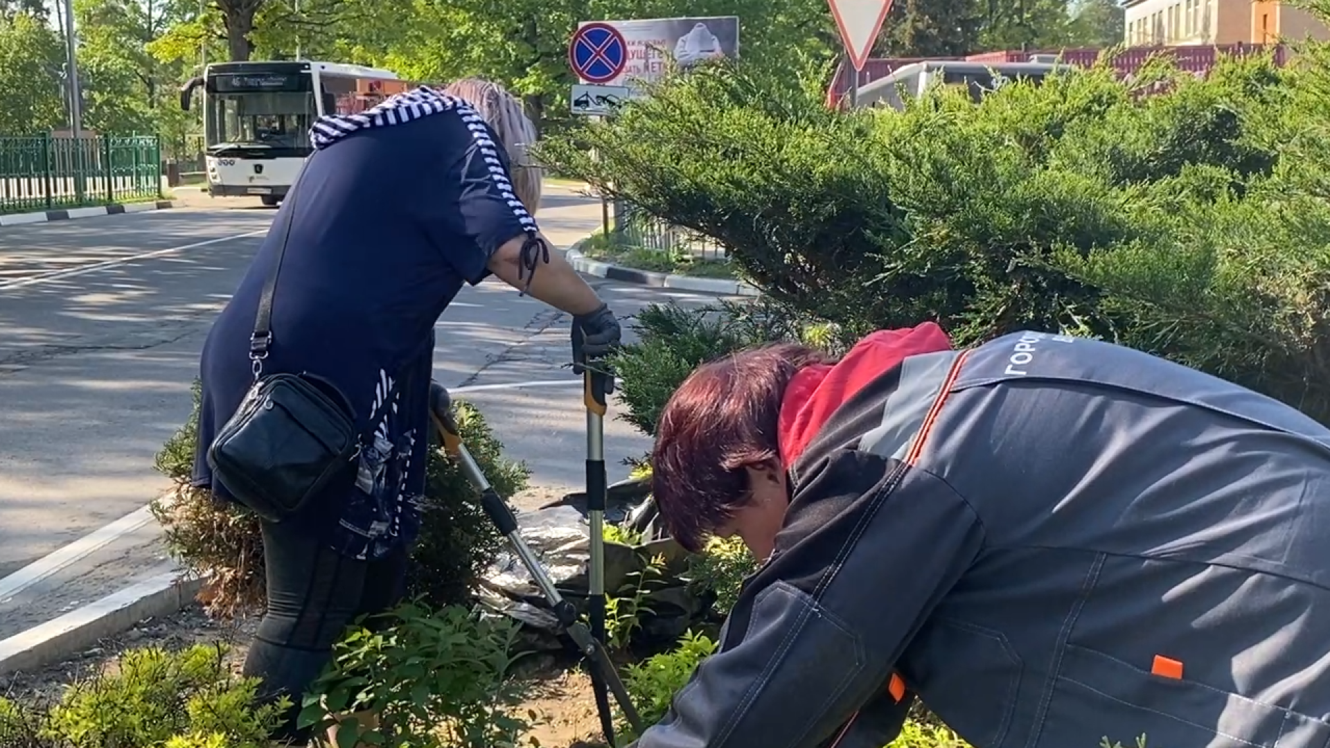 городская клумба, благоустройство власиха, уход за растениями, обрезка кустарника, власиха благоустройство территории,