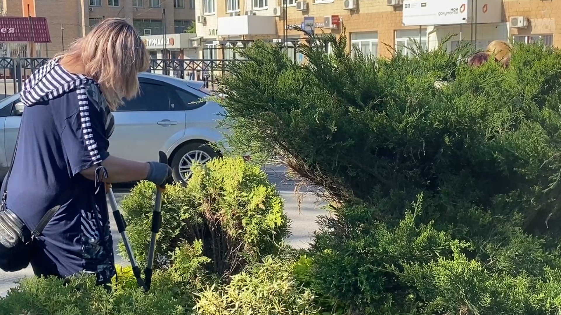 городская клумба, благоустройство власиха, уход за растениями, обрезка кустарника, власиха благоустройство территории,