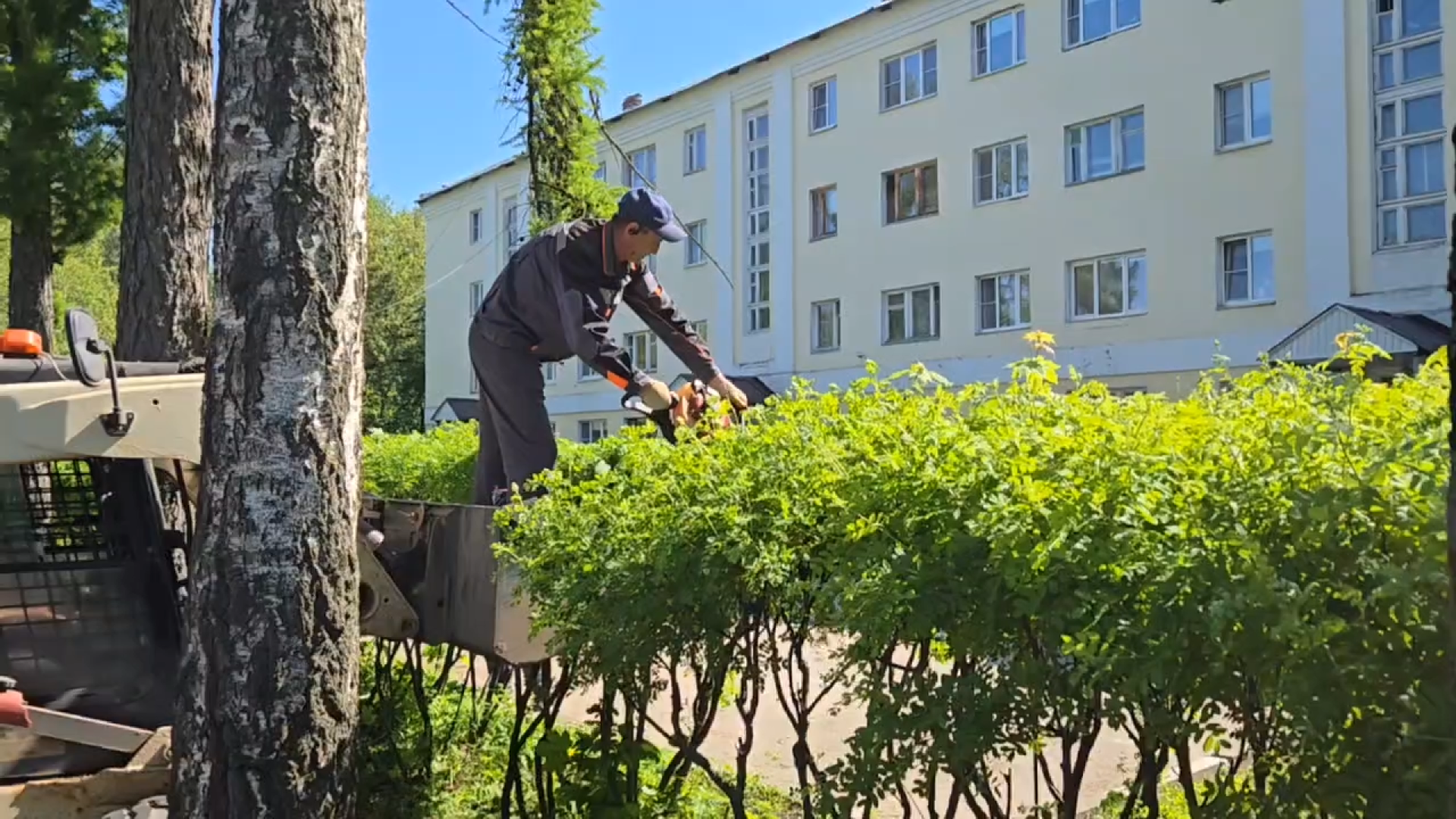 городская клумба, благоустройство власиха, уход за растениями, обрезка кустарника, власиха благоустройство территории,