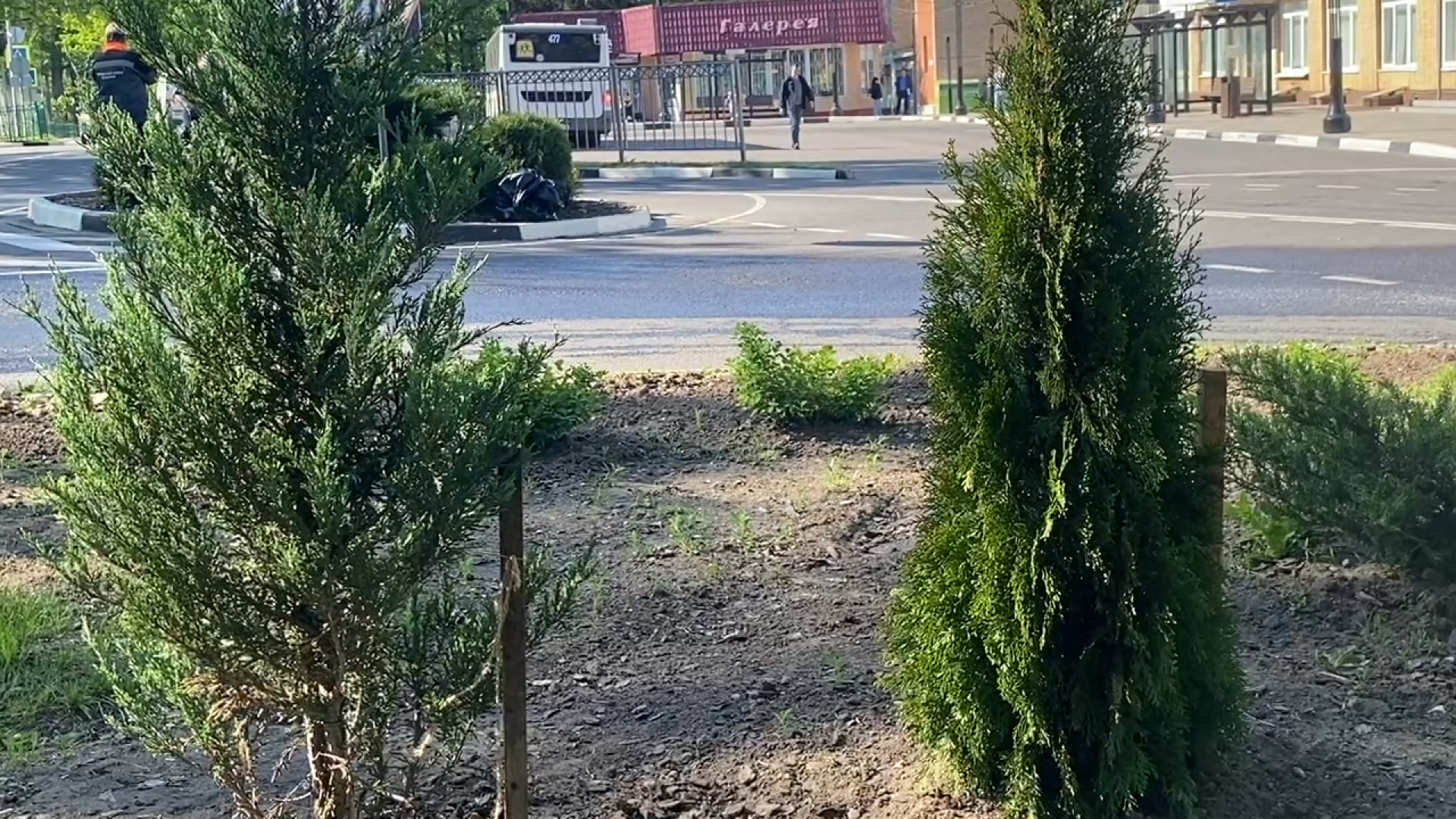 городская клумба, благоустройство власиха, уход за растениями, обрезка кустарника, власиха благоустройство территории,