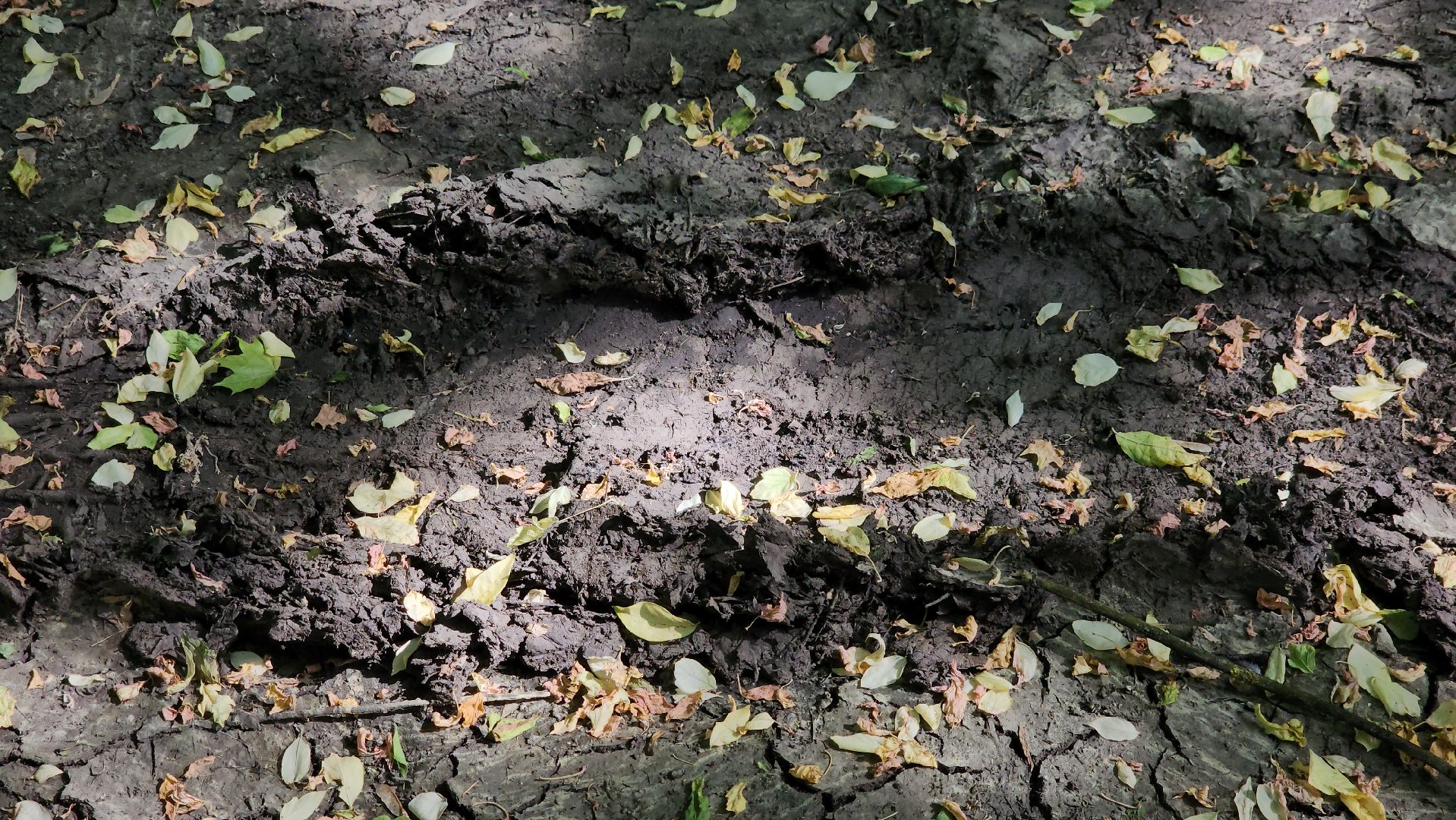 ливневая канализация, чкаловский, подтопление,