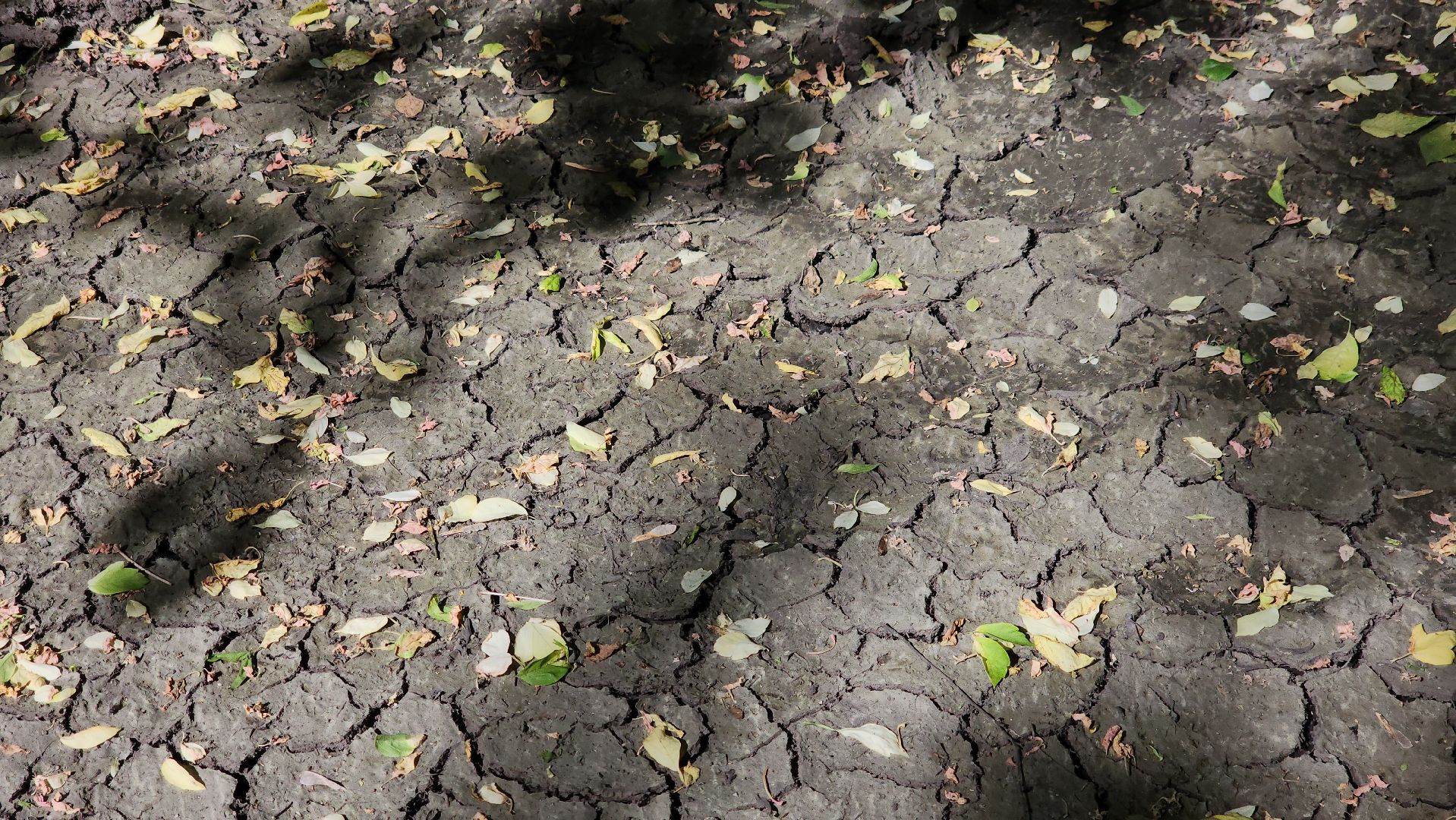 ливневая канализация, чкаловский, подтопление,