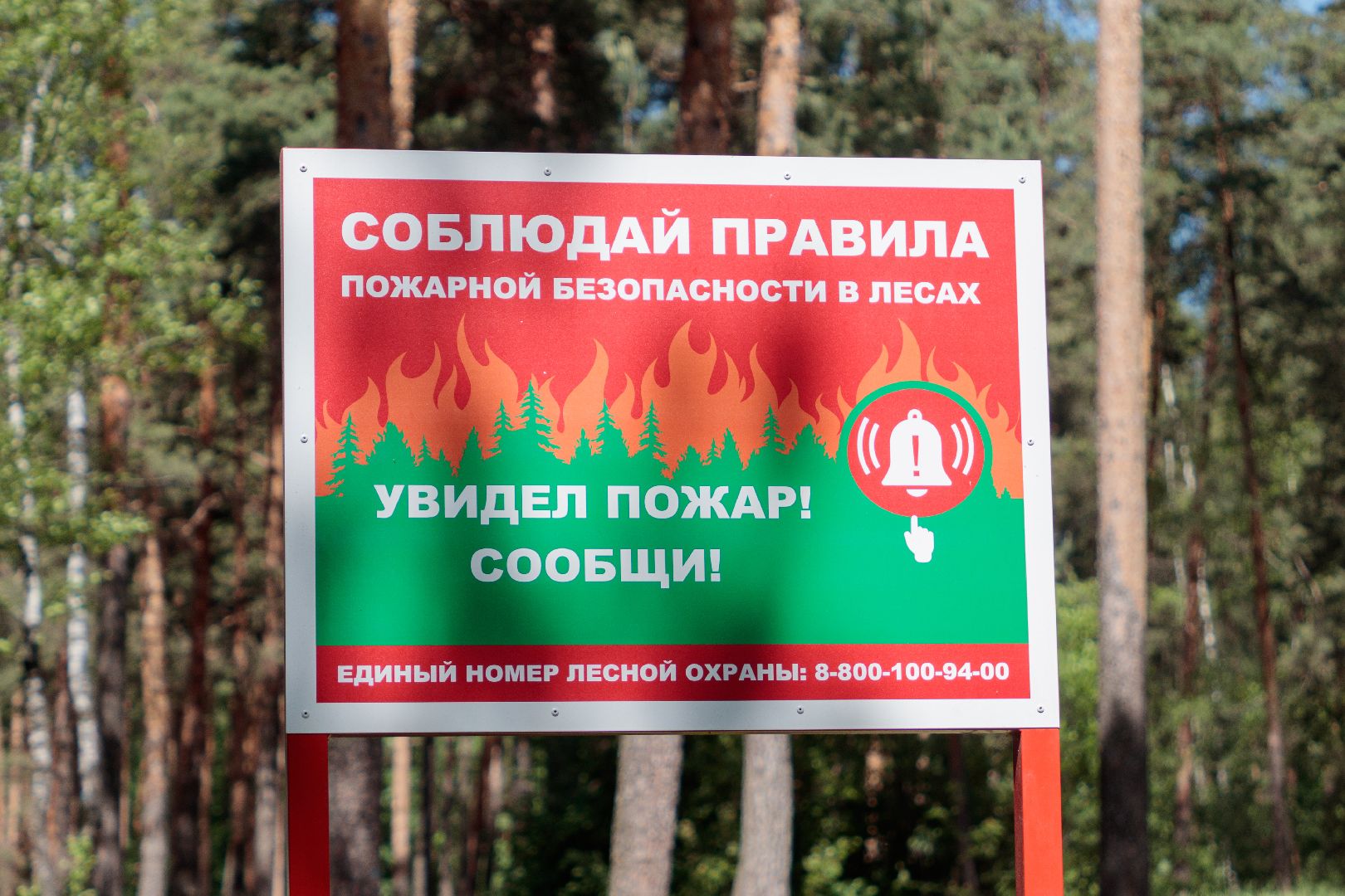 лыткарино , общество , пожароопасный сезон 2025, безопасность,