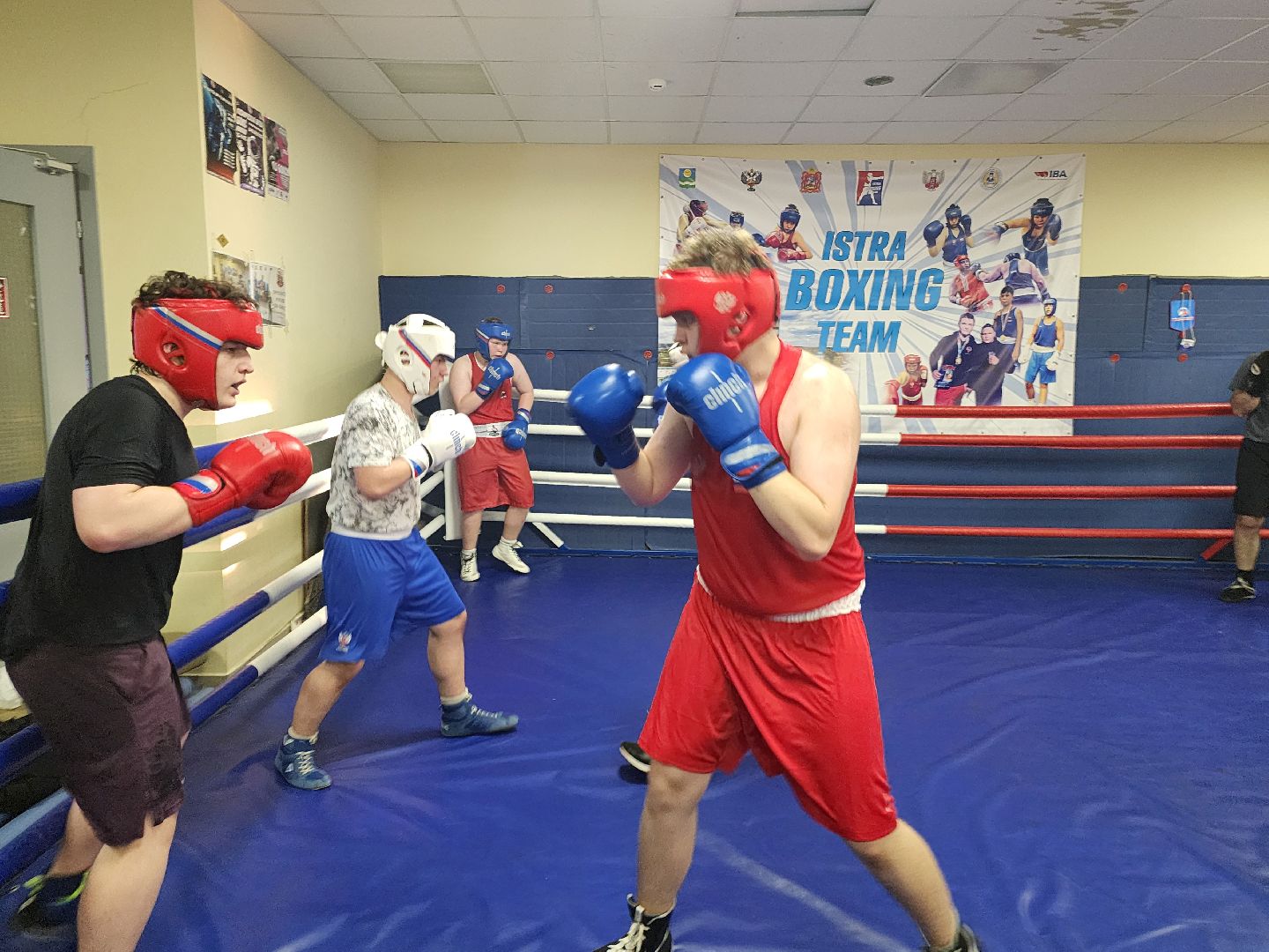 Истра, Спорт, Бокс,