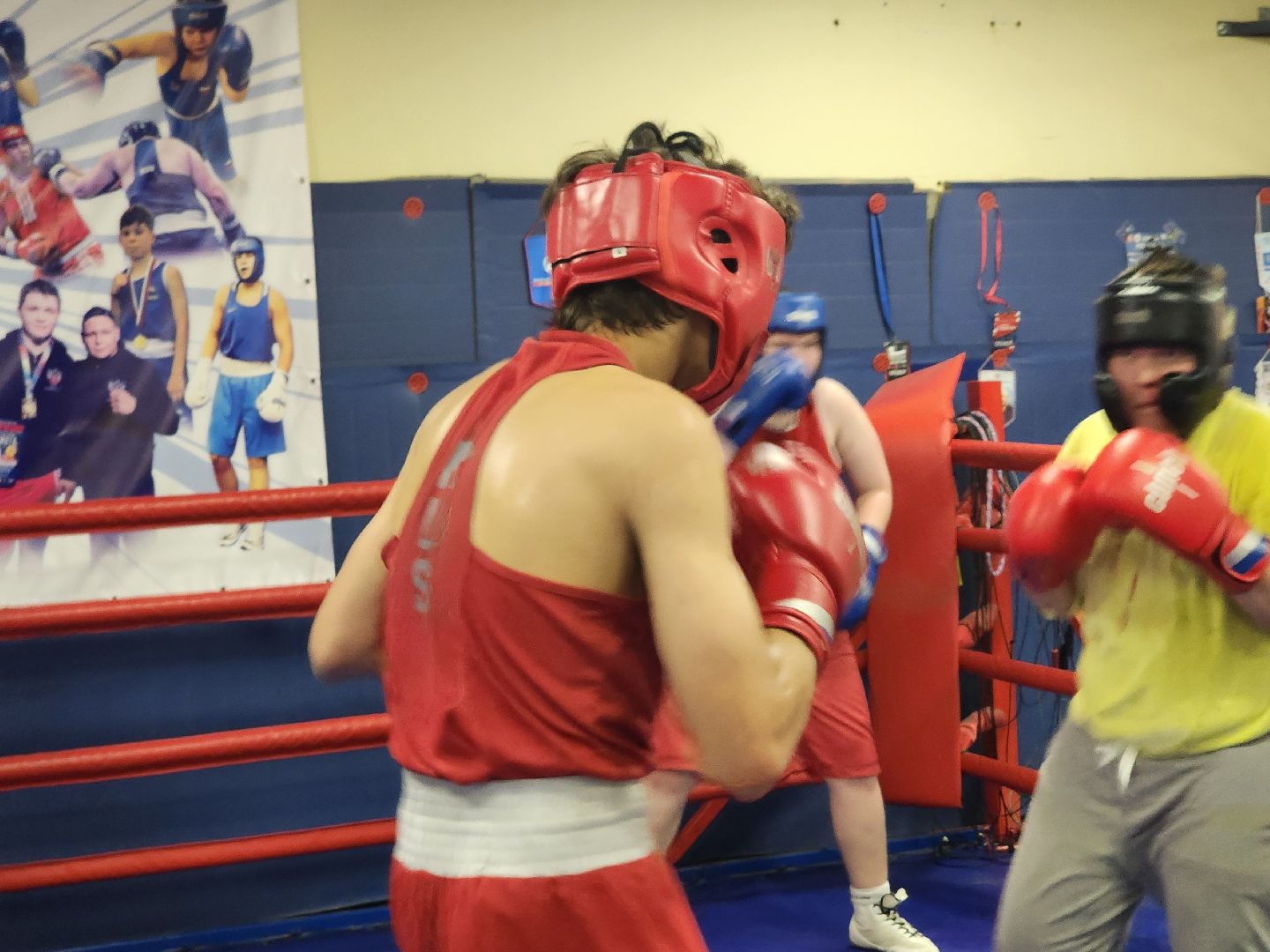 Истра, Спорт, Бокс,