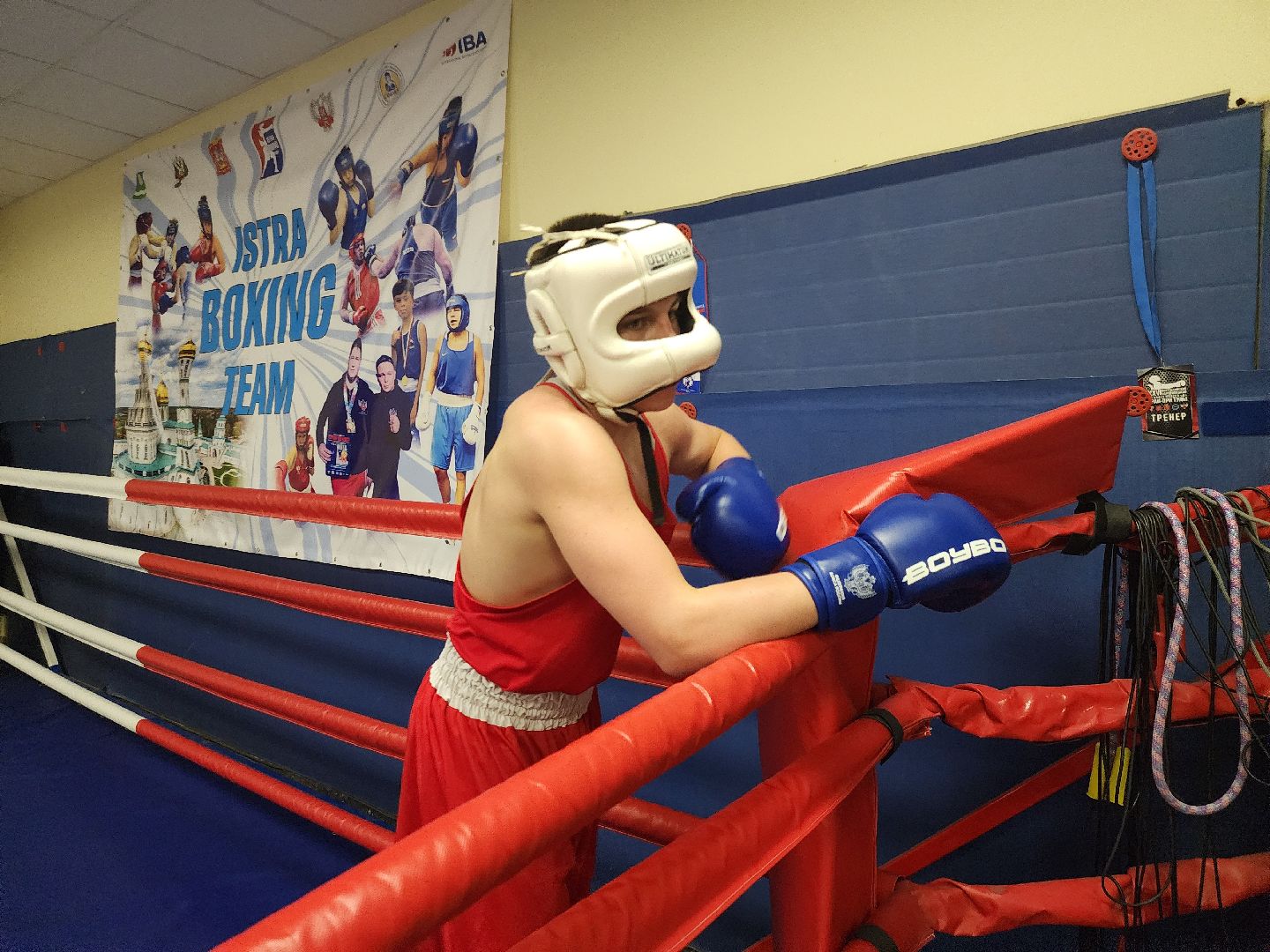 Истра, Спорт, Бокс,