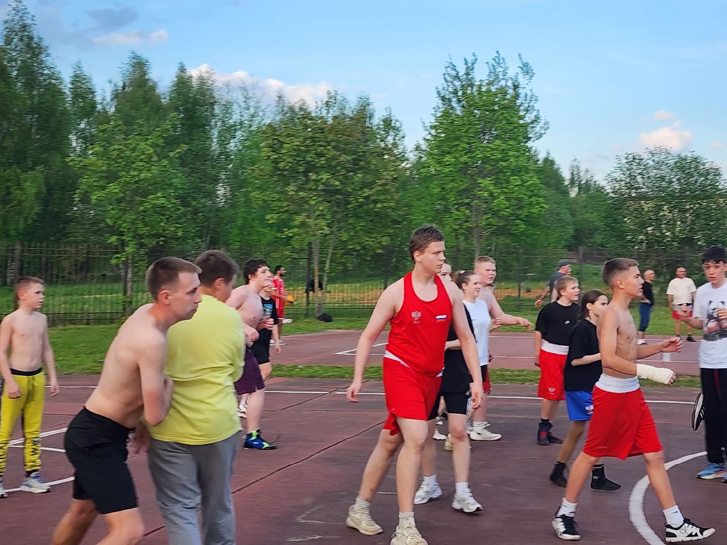 Истра, Спорт, Бокс,