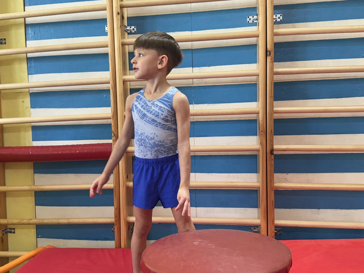 спортивная гимнастика, балашиха, книга рекордов россии, марк маилян, центр гимнастики смайл,