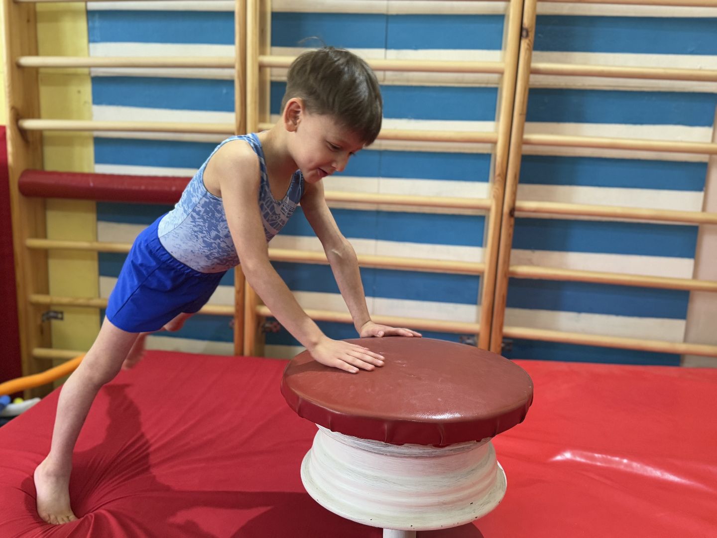 спортивная гимнастика, балашиха, книга рекордов россии, марк маилян, центр гимнастики смайл,