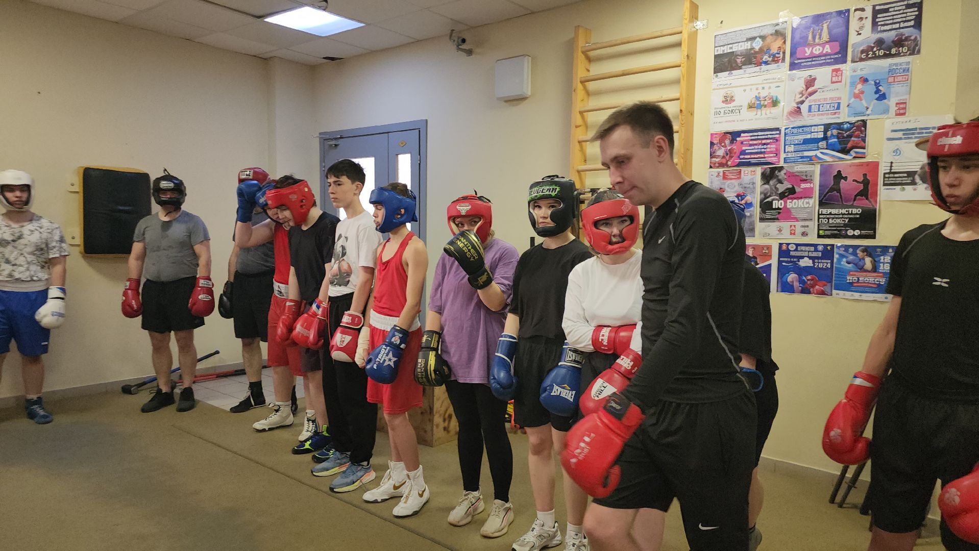 Истра, Бокс, Спорт,