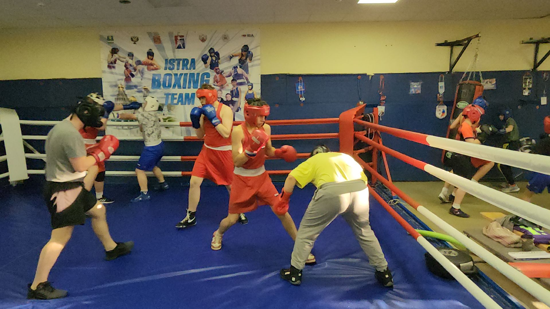 Истра, Бокс, Спорт,