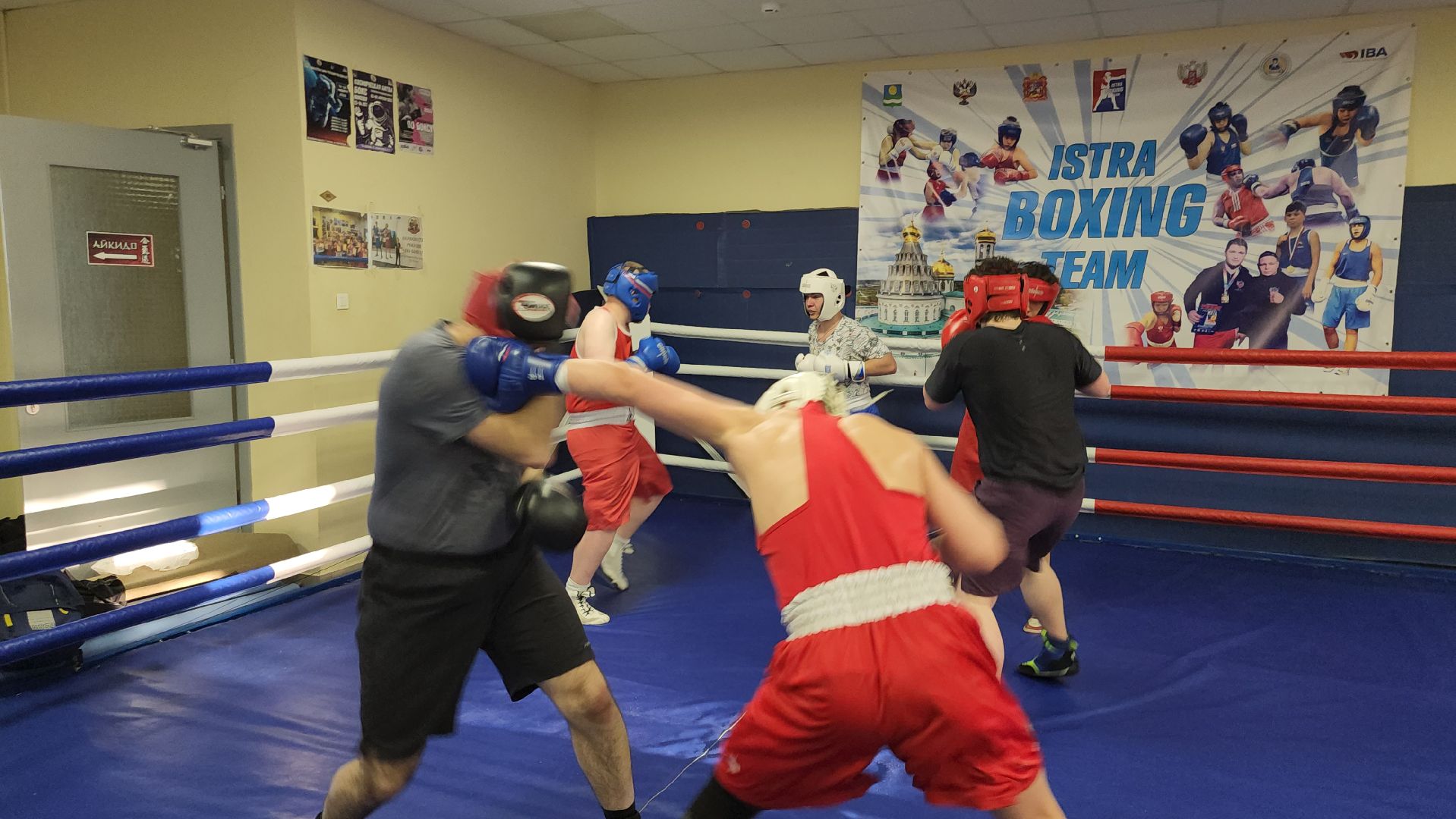 Истра, Бокс, Спорт,