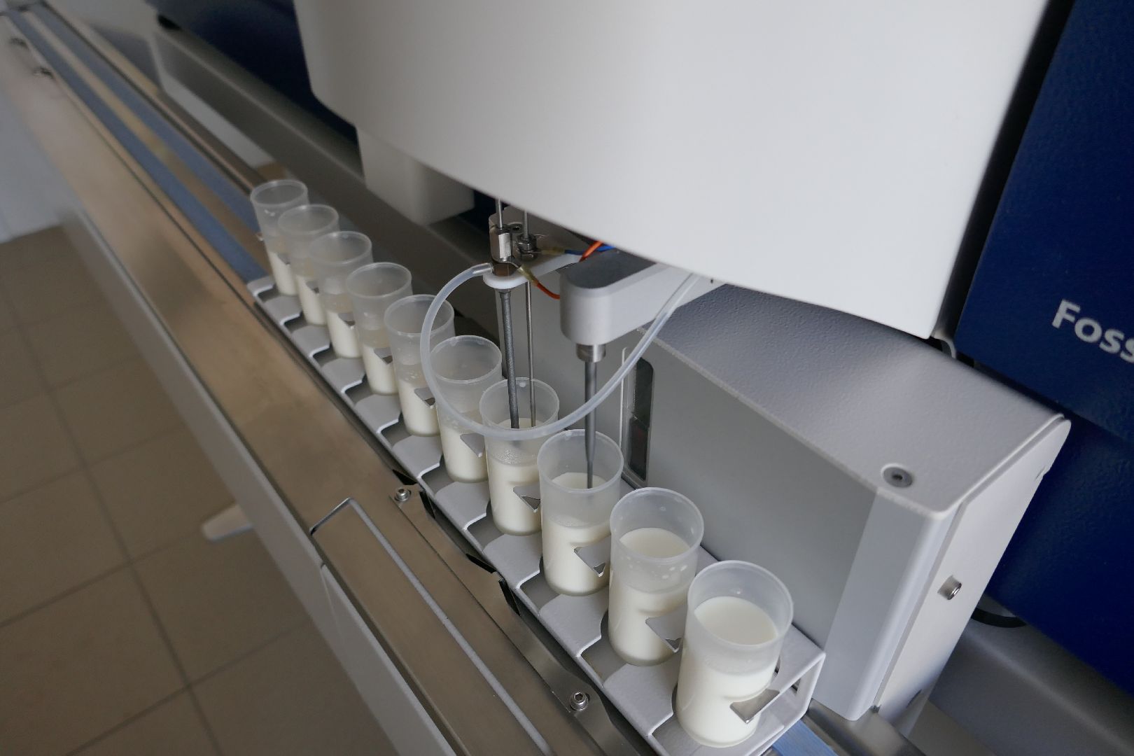 Подольск, молоко, наука, ученые, коровы