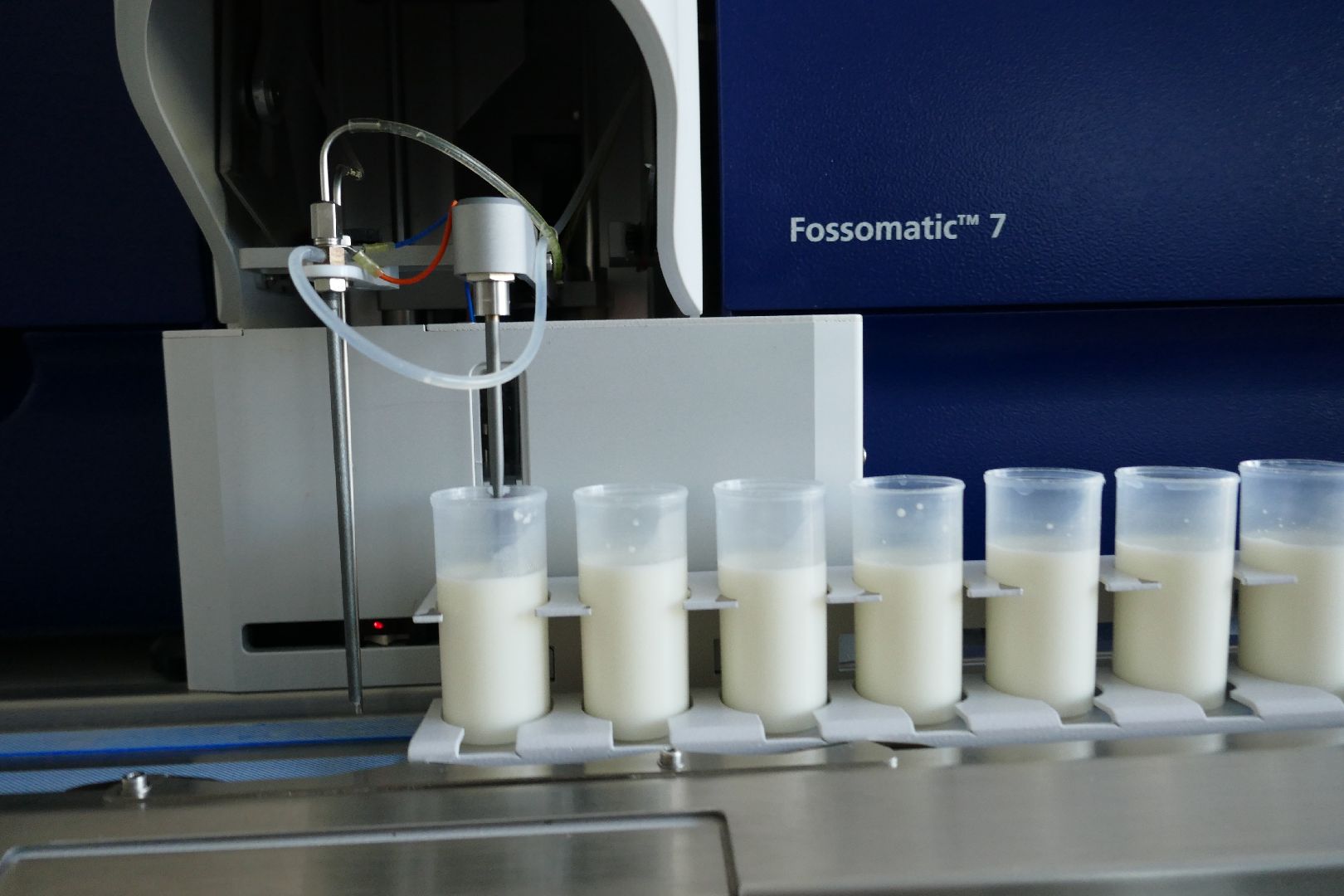 Подольск, молоко, наука, ученые, коровы