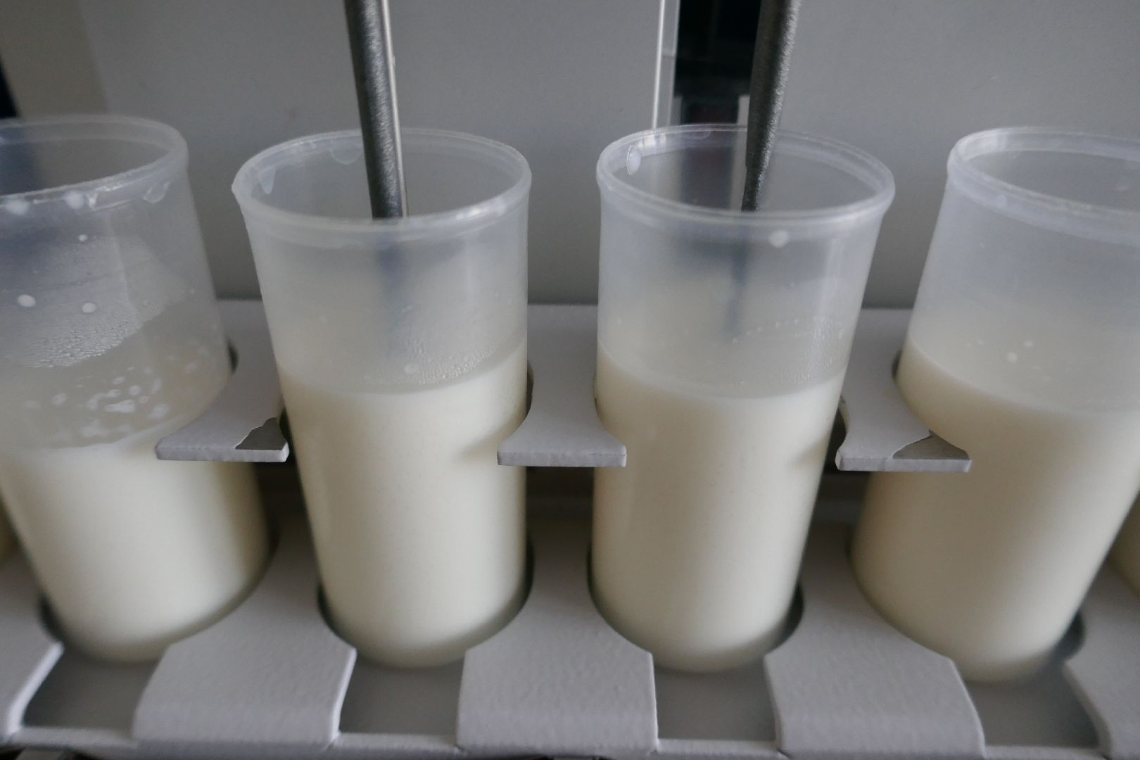 Подольск, молоко, наука, ученые, коровы