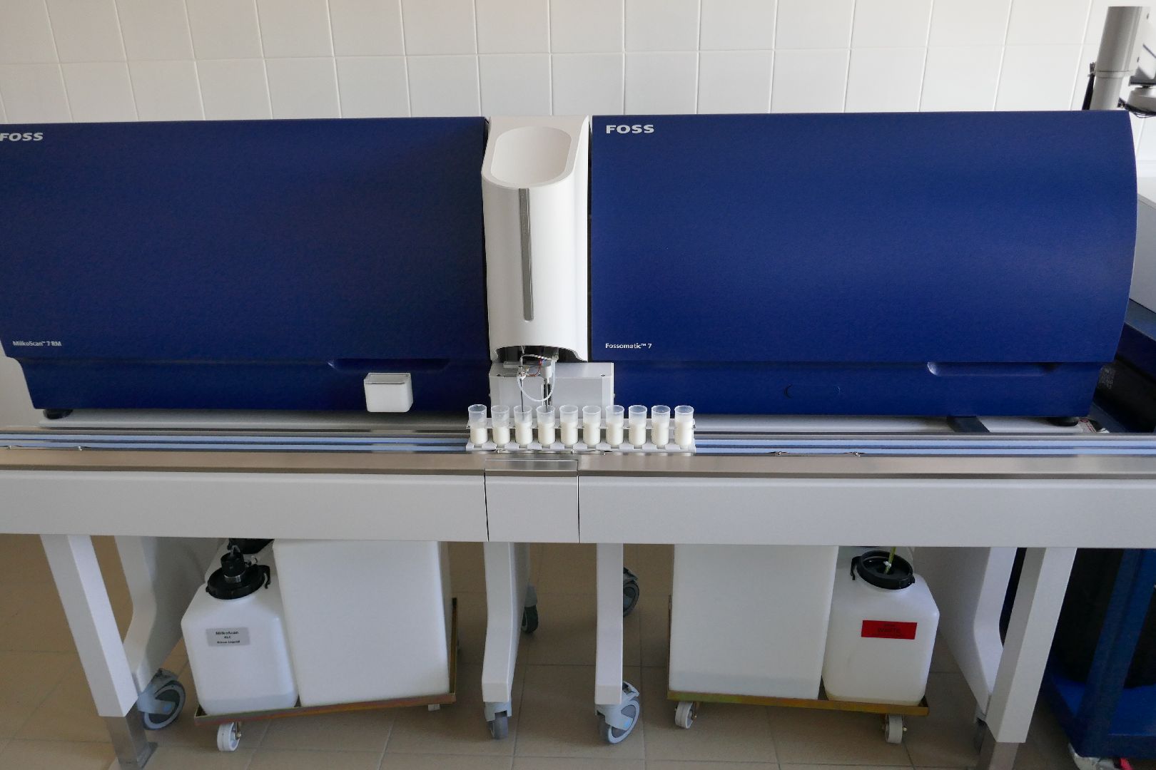 Подольск, молоко, наука, ученые, коровы