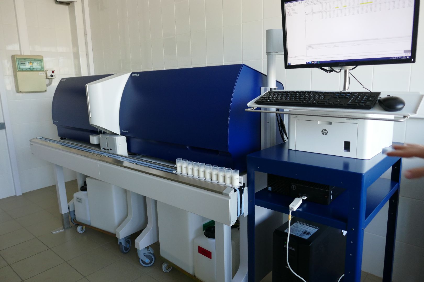 Подольск, молоко, наука, ученые, коровы